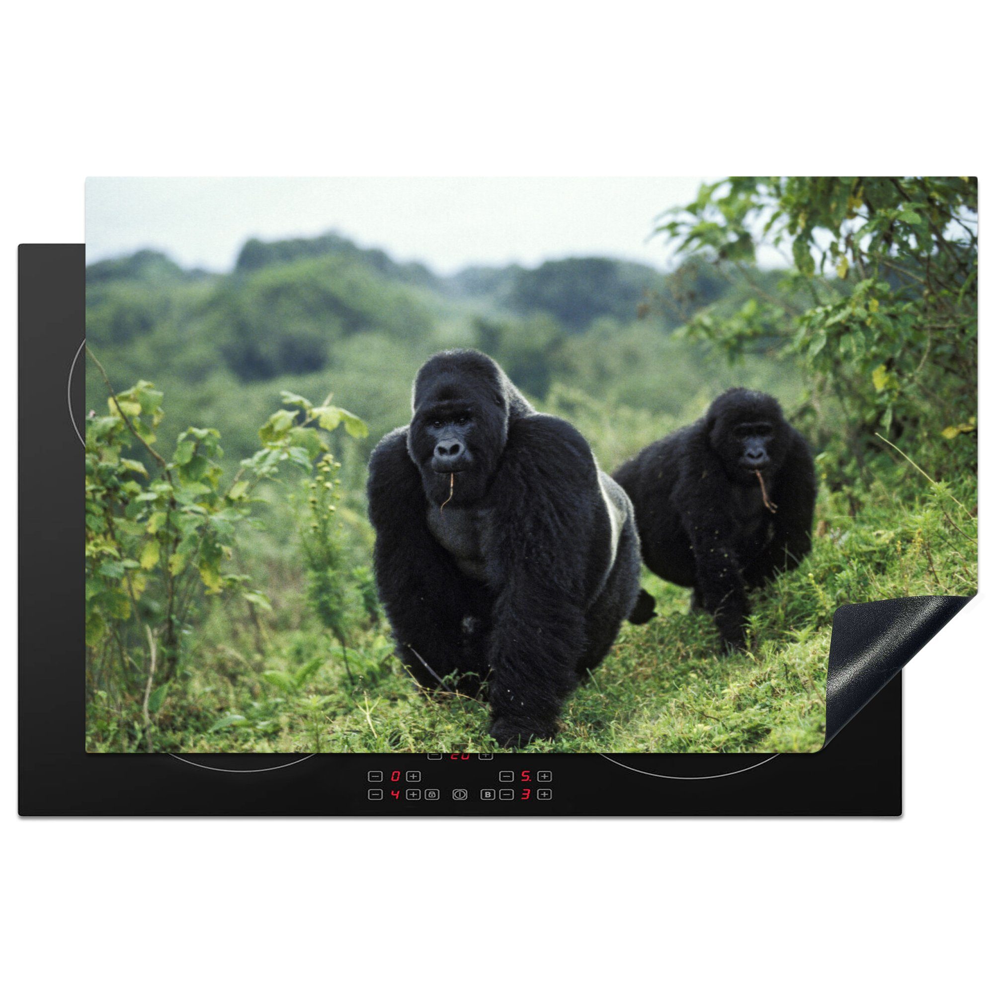MuchoWow Herdblende-/Abdeckplatte Zwei schwarz gefärbte Gorillas in einer grünen Umgebung, Vinyl, (1 tlg), 81x52 cm, Induktionskochfeld Schutz für die küche, Ceranfeldabdeckung