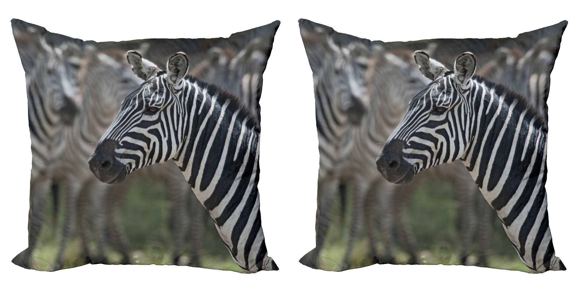 Kissenbezüge Modern Accent Doppelseitiger Digitaldruck, Abakuhaus (2 Stück), afrikanisch Zebra in Serengati Park