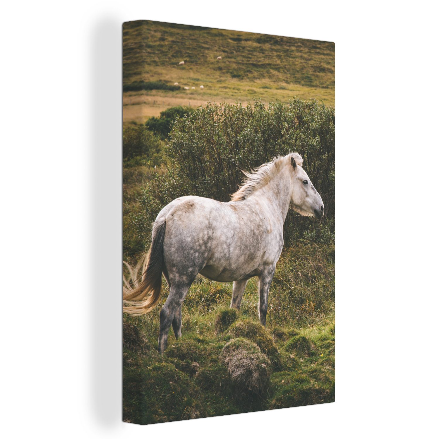 (1 OneMillionCanvasses® fertig Leinwandbild inkl. Gemälde, - St), 20x30 cm Weiß, Pferd Gras Zackenaufhänger, Leinwandbild bespannt -