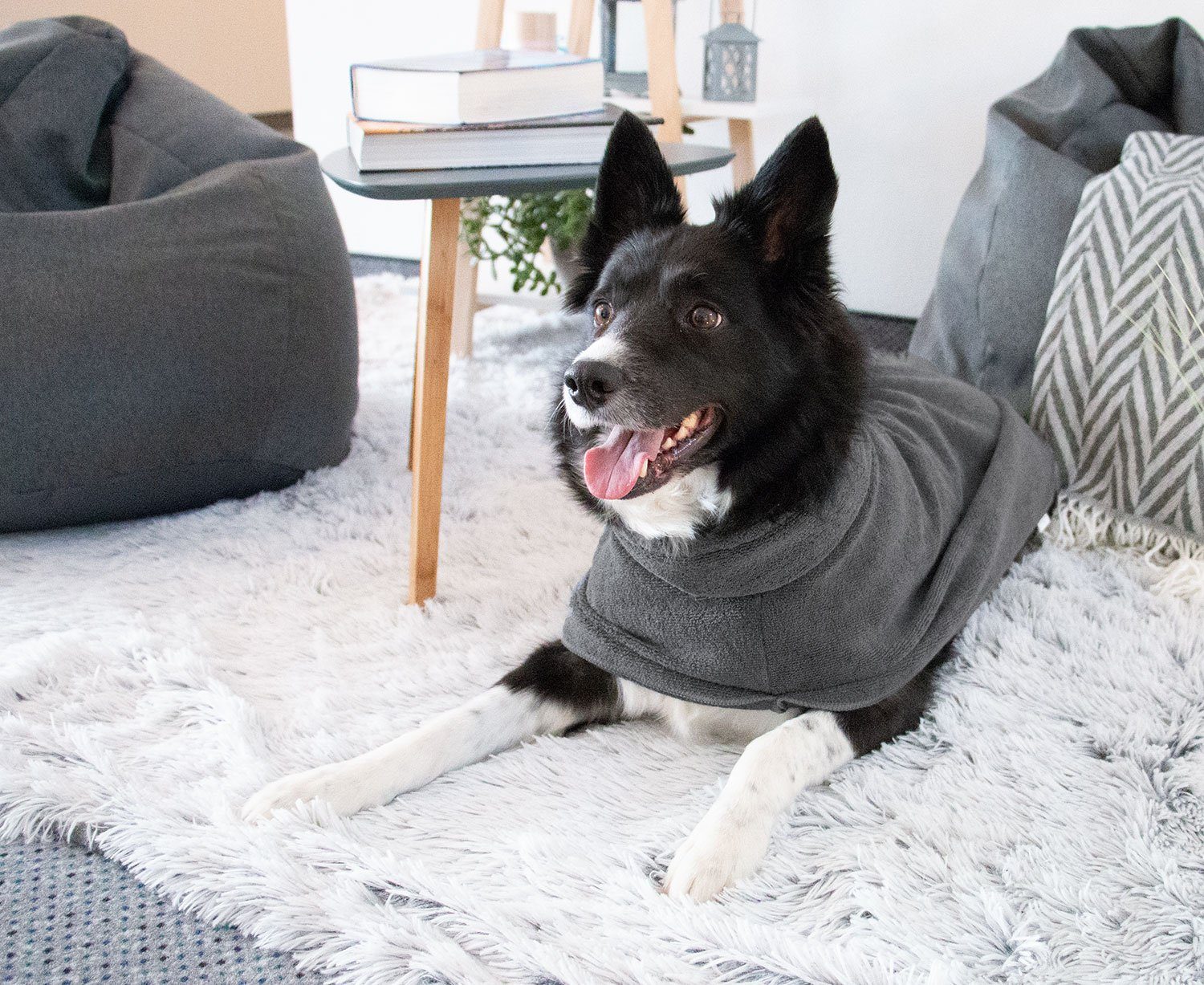 ZOLLNER24 Hundebademantel, 85% Polyester, 15% Polyamid, hinten mit Öse und Knopf