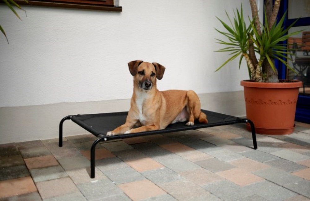Kerbl Tierbett Kerbl Matratze Memory-Foam 120 cm 80334
