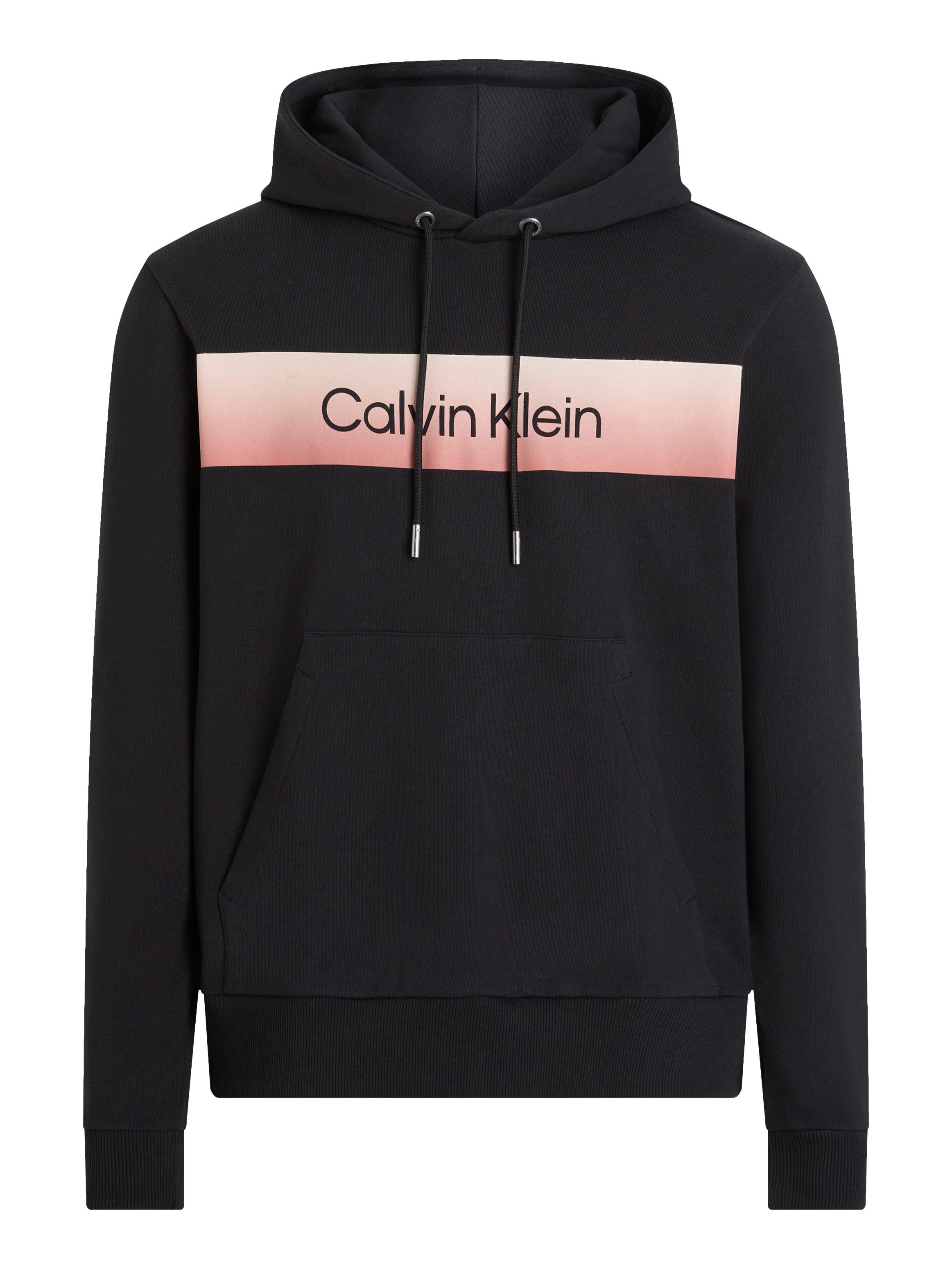 Hoodie LINEAR OMBRE CHEST LOGO HOODIE