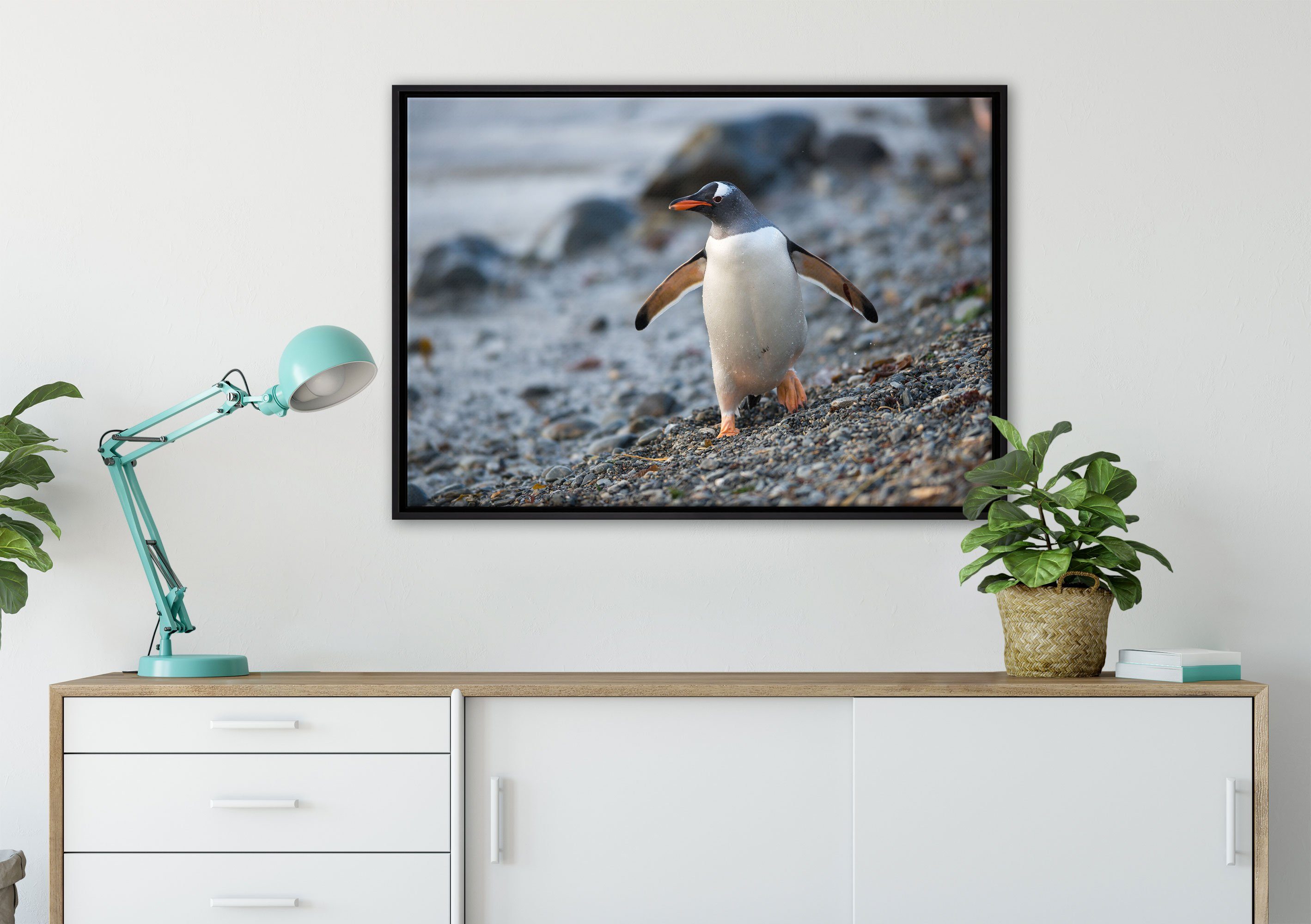 bespannt, Pixxprint Schattenfugen-Bilderrahmen Leinwandbild Pinguine, in inkl. Wanddekoration (1 fertig gefasst, St), Zackenaufhänger Leinwandbild einem