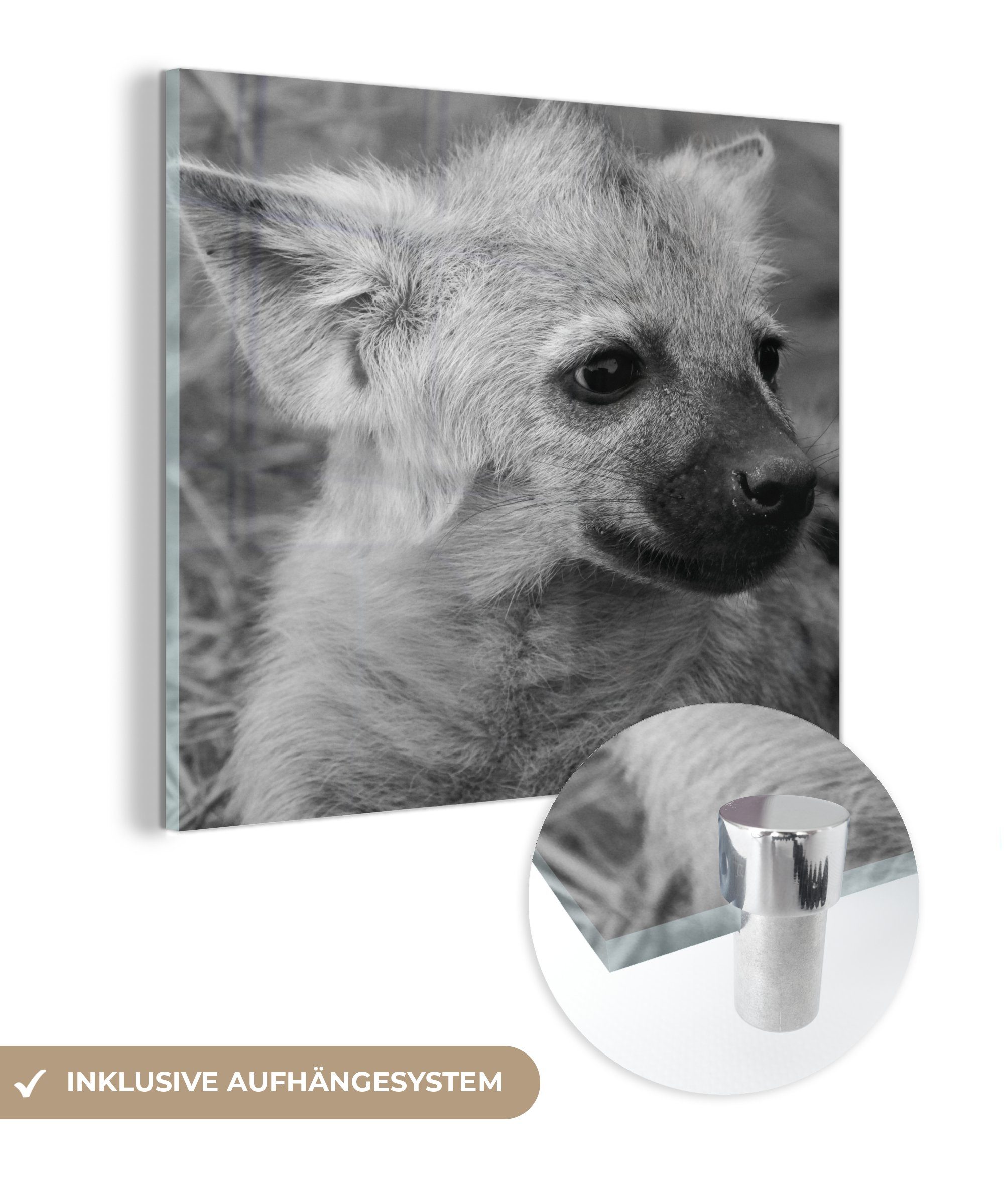 MuchoWow Acrylglasbild Hyänenjunges in Schwarz und Weiß, (1 St), Glasbilder - Bilder auf Glas Wandbild - Foto auf Glas - Wanddekoration