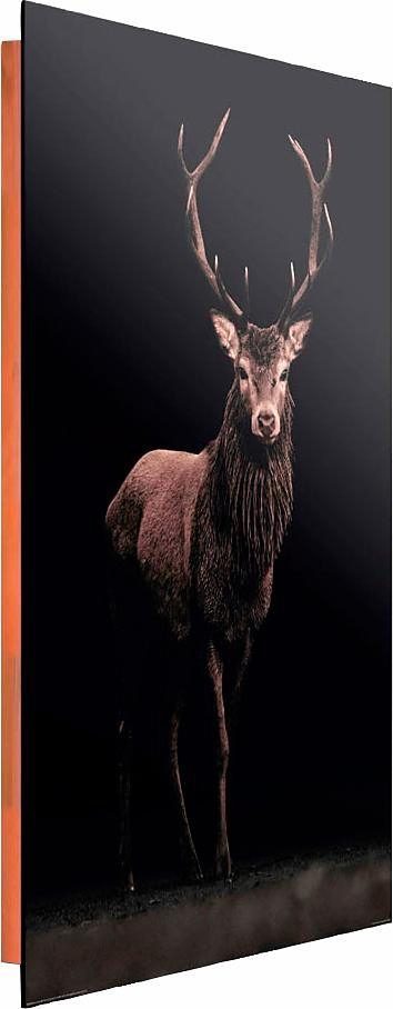 Home affaire Deco-Panel Hirsch, 60/90 cm. € 36,51