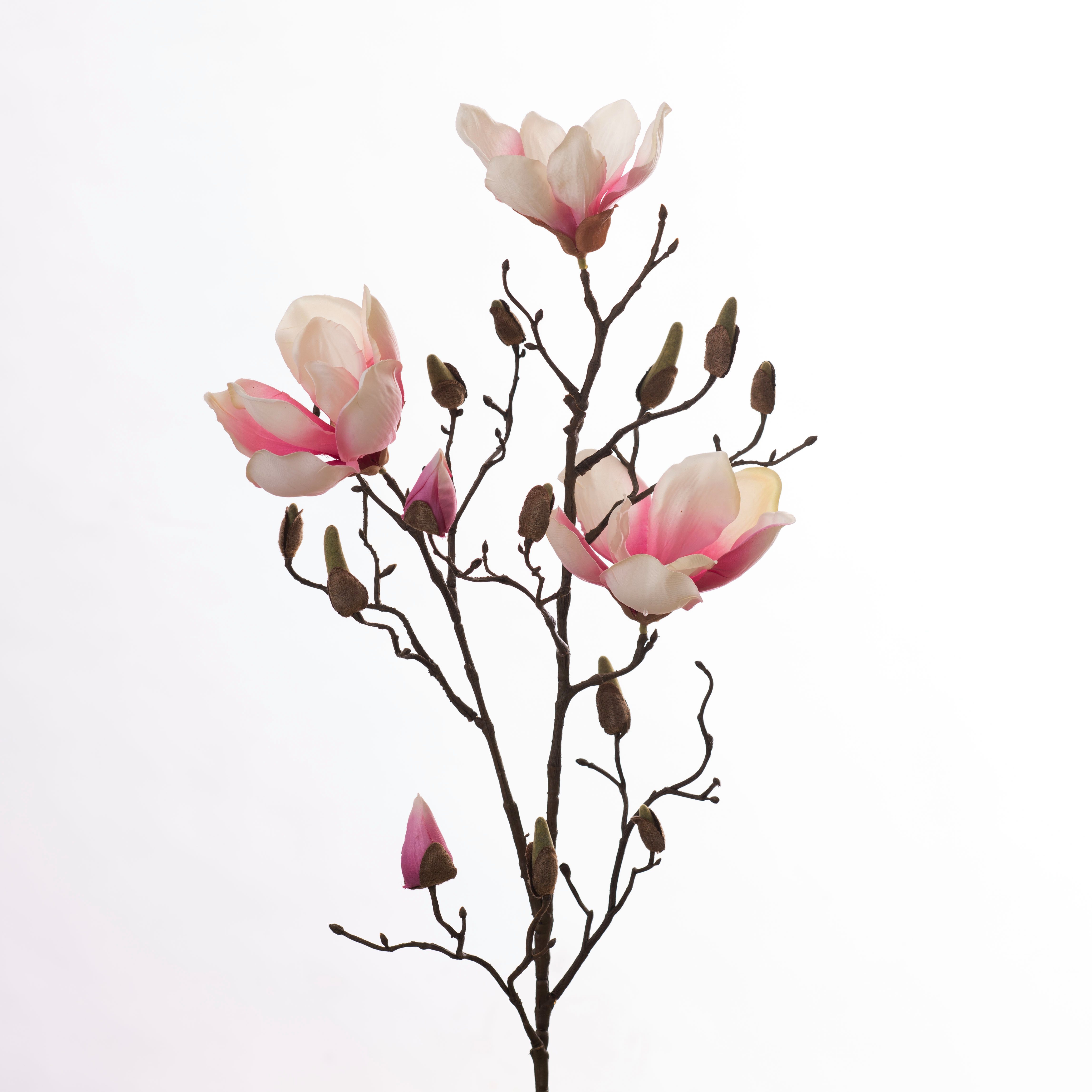 Kunstblume Kunst-Stielblume Magnolienzweig -Blüten -Knospen –H 86 cm –Creme/Pink, Goods NL, Höhe 86 cm