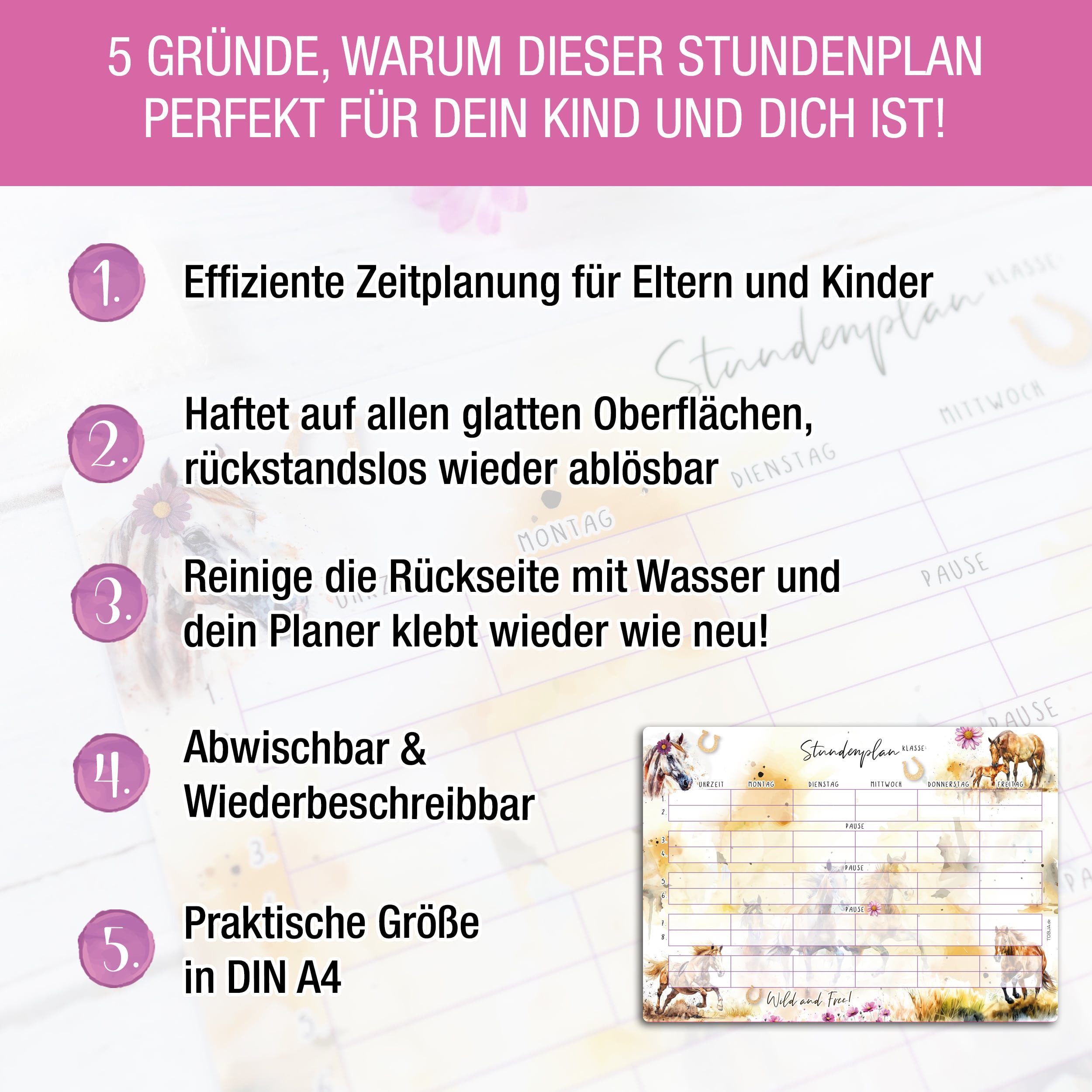 TOBJA Wandtafel Stundenplan Pferde Grundschule Mädchen, abwischbar selbsthaftend inkl. Stift Schulanfang Schultüte – Bild 2 von 5
