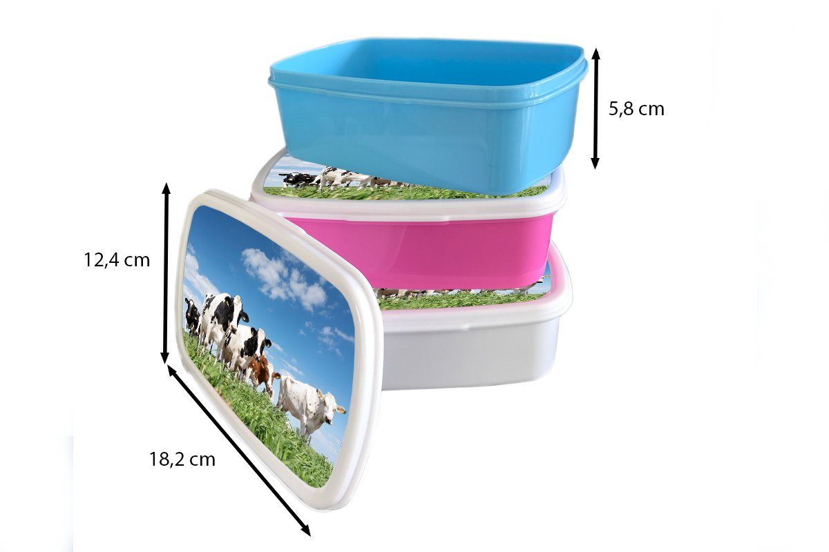 Tiere, Snackbox, Weide Lunchbox Kunststoff rosa Brotbox (2-tlg), - Landleben Kunststoff, Kinder, Brotdose - - MuchoWow Natur Mädchen, für Kühe - Erwachsene,