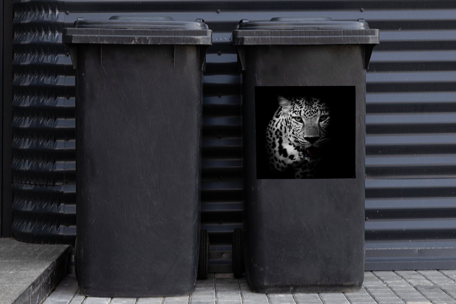 Sticker, - Wandsticker Abfalbehälter St), Weiß (1 Mülleimer-aufkleber, MuchoWow - Tiere Panther Container, Mülltonne, Schwarz - Porträt -