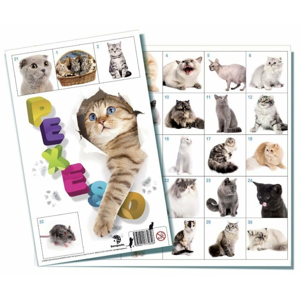 TEDDIES Spiel Pexeso - Katzen