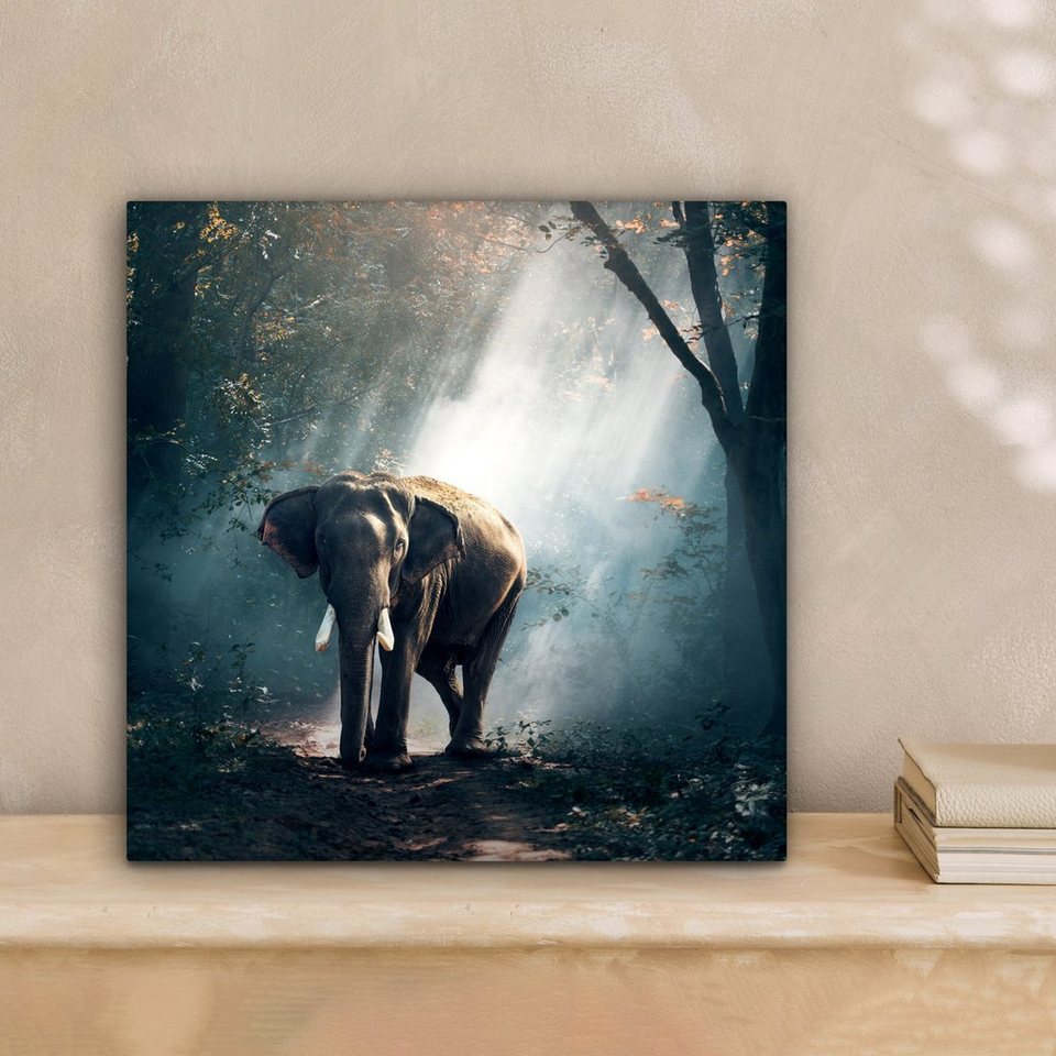 OneMillionCanvasses® Leinwandbild Elefant - Tiere - Licht - Wald - Natur -  Wildtiere, (1 St), Leinwand Bilder für Wohnzimmer Schlafzimmer, 20x20 cm