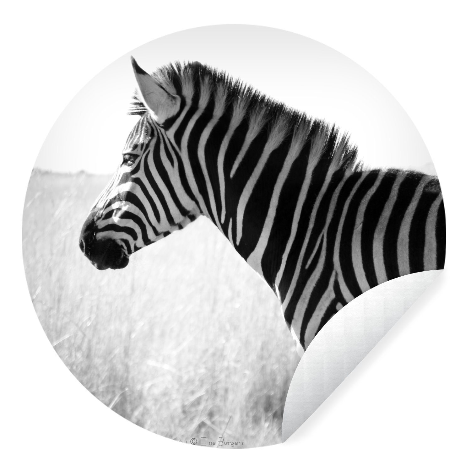 MuchoWow Wandsticker Zebra im hohen Gras (1 St), Tapetenkreis für Kinderzimmer, Tapetenaufkleber, Rund, Wohnzimmer