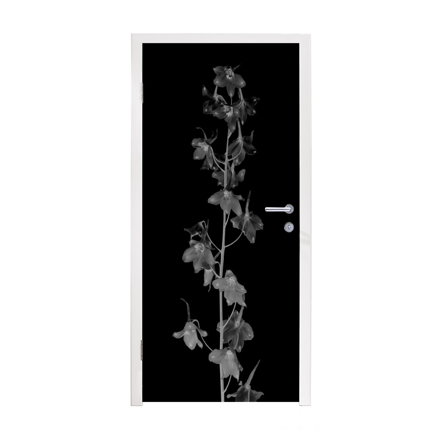 MuchoWow Türtapete Pflanzenporträt der Delphinium-Blüte - schwarz-weiß, Matt, bedruckt, (1 St), Fototapete für Tür, Türaufkleber, 75x205 cm