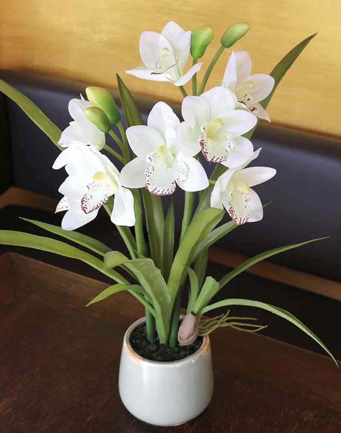 Kunstorchidee Cymbidium NALA im Keramiktopf, Creme, 55cm - Orchidee künstlich Orchidee (Orchidee cymbidium), artplants, Höhe 50.0 cm