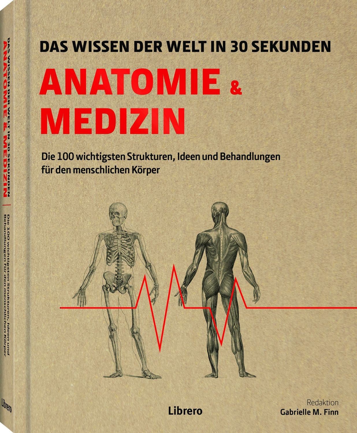 Anatomie und Medizin in 30 Sekunden / Gabrielle M. Finn