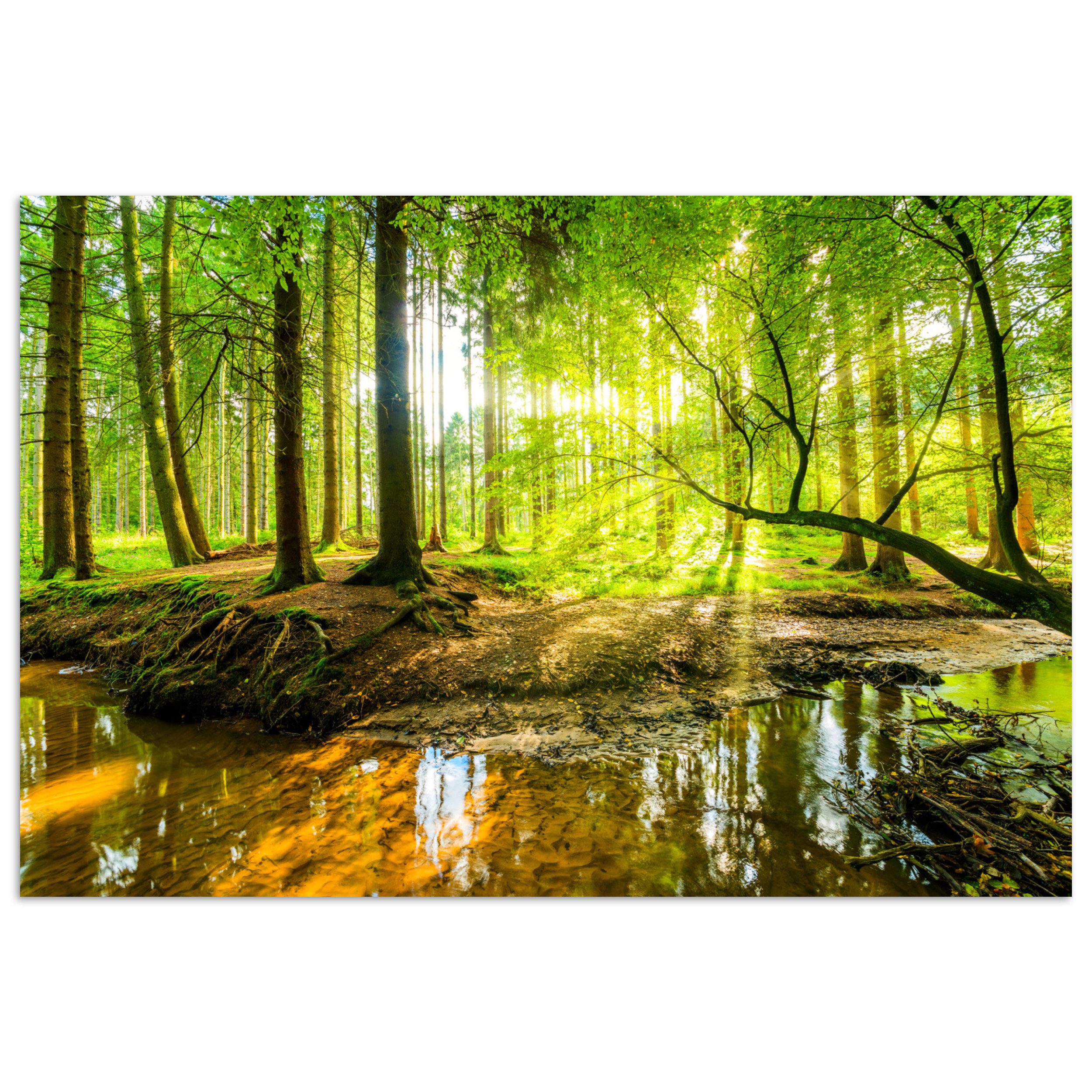 MuchoWow Poster Wald - Landschaft - Wasser - Bäume - Sonne - Grün - Natur, günstig online kaufen