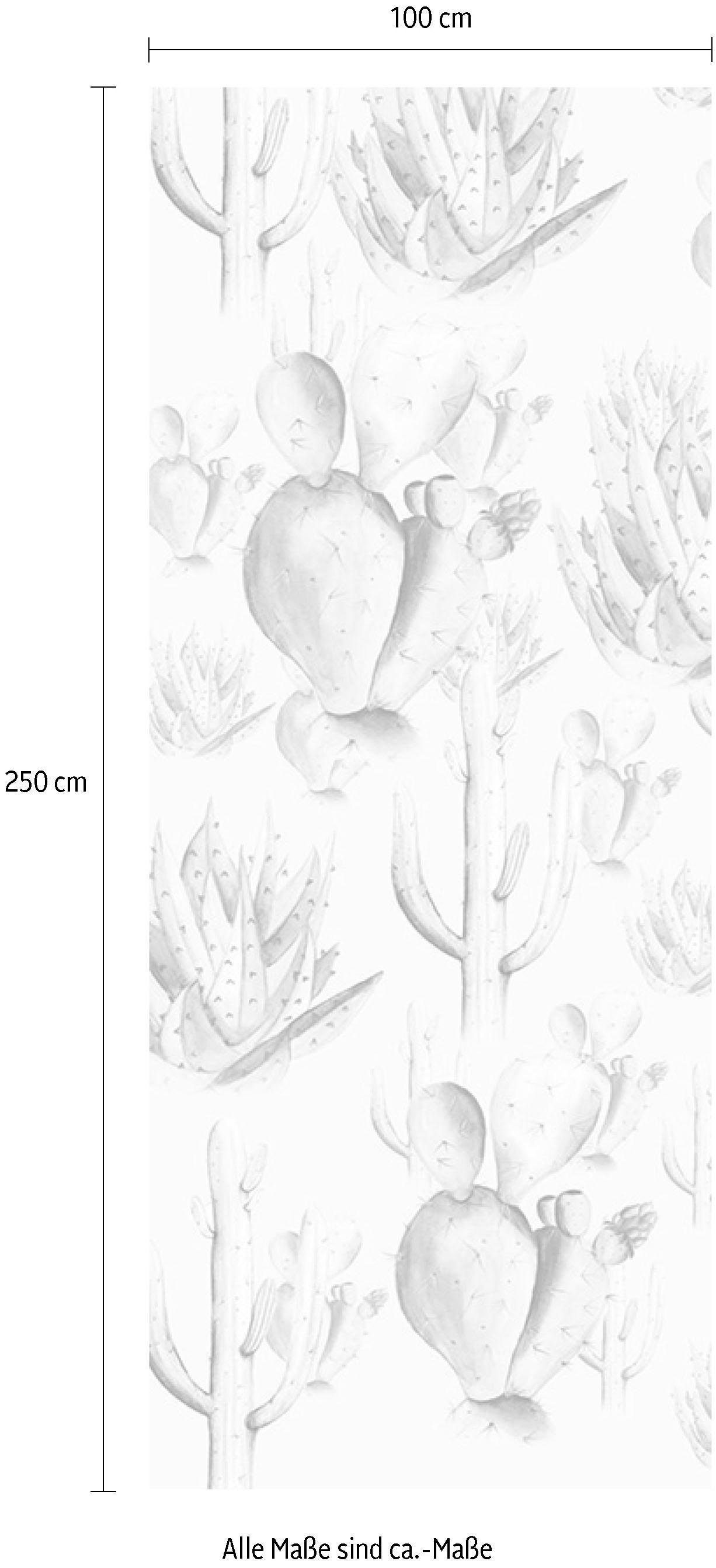 Komar Vliestapete, Höhe), cm (Breite Bahnbreite Vliestapete, St), (1 x 100