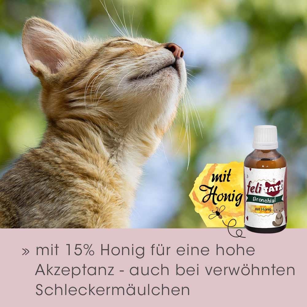 cdVet feliTATZ Bronchial, Nahrungsergänzungsmittel für: Katzen, hohe Akzeptanz aufgrund des Honiganteils