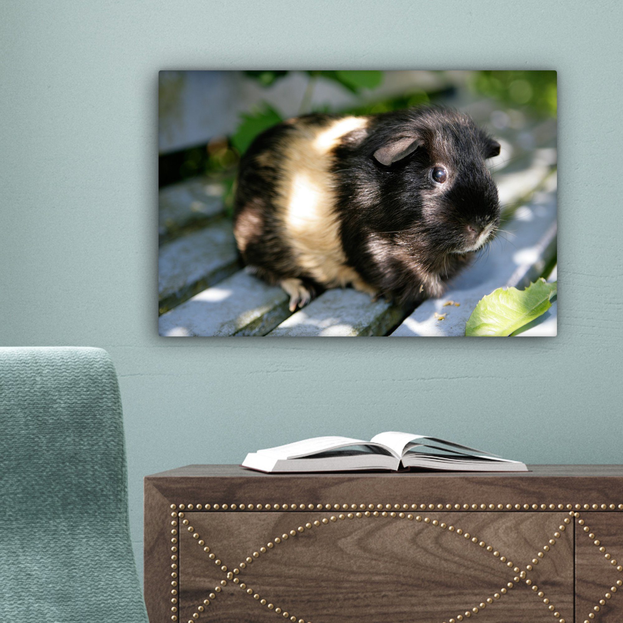 OneMillionCanvasses® Leinwandbild Meerschweinchen im Garten, Aufhängefertig, Wandbild St), 30x20 (1 Wanddeko, Leinwandbilder, cm
