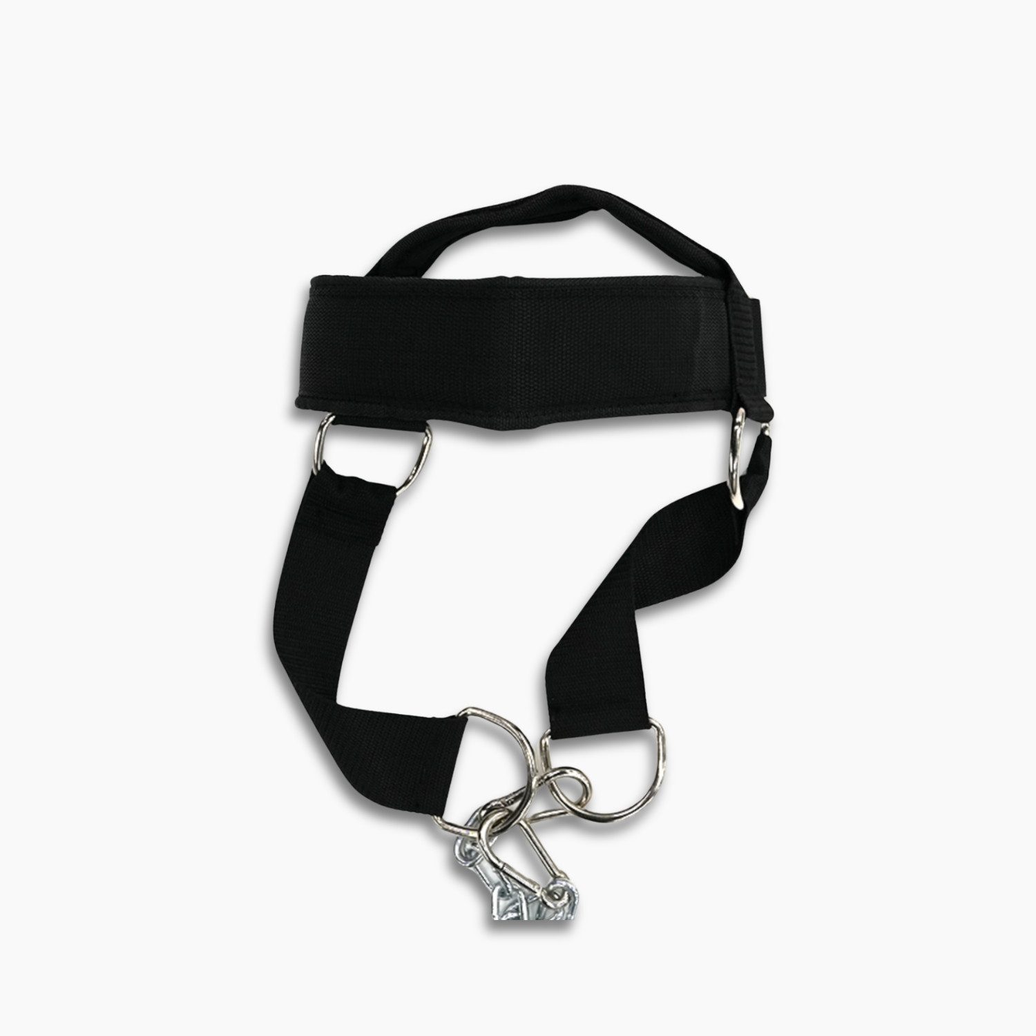 Trainingshilfe Head Harness Nackengurt