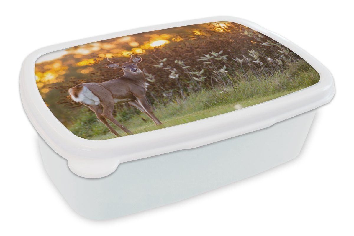 MuchoWow Lunchbox Hirsche Erwachsene, Kunststoff, weiß und und - Sonnenuntergang - - für Wildtiere für - (2-tlg), Jungs Brotdose, Brotbox Kinder Pflanzen Natur, Mädchen