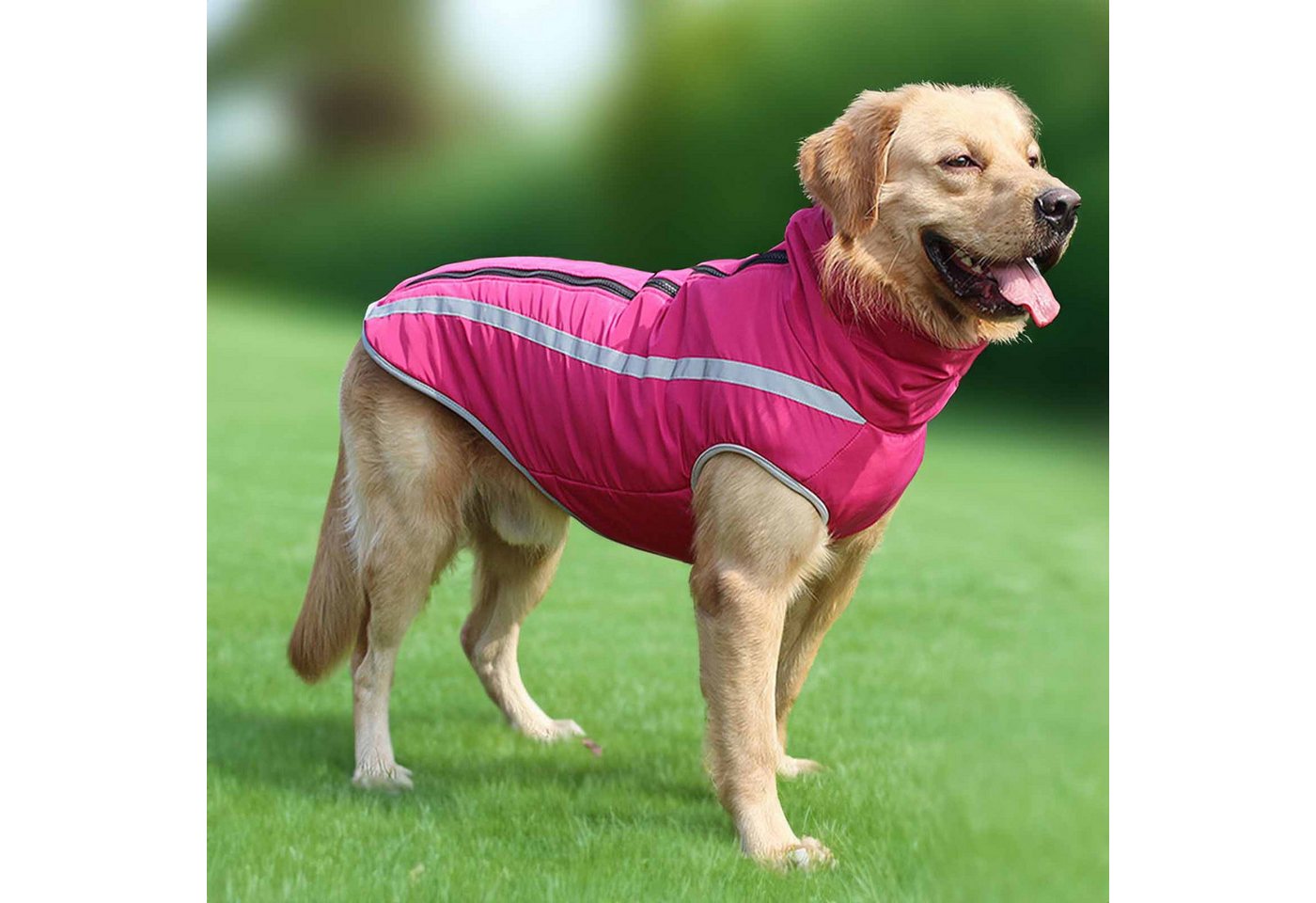 Thumbnail - Monkimau Tierjacke Hundejacke - 5XL in pink
