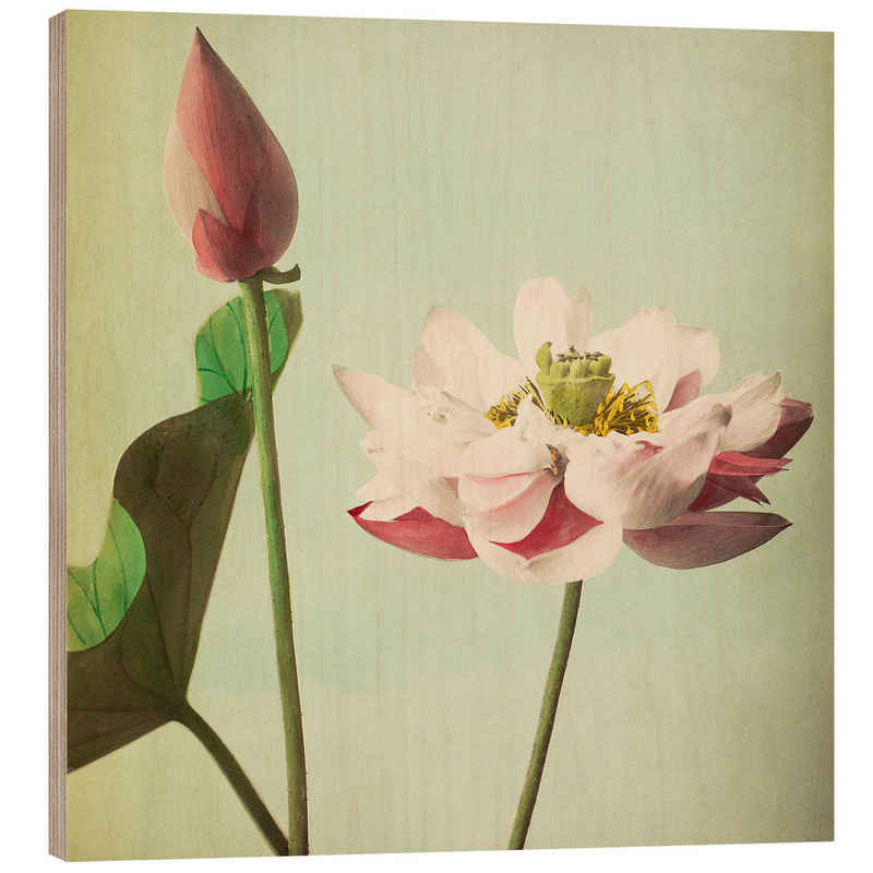 Posterlounge Holzbild Ogawa Kazumasa, Lotus, Shabby Chic Malerei