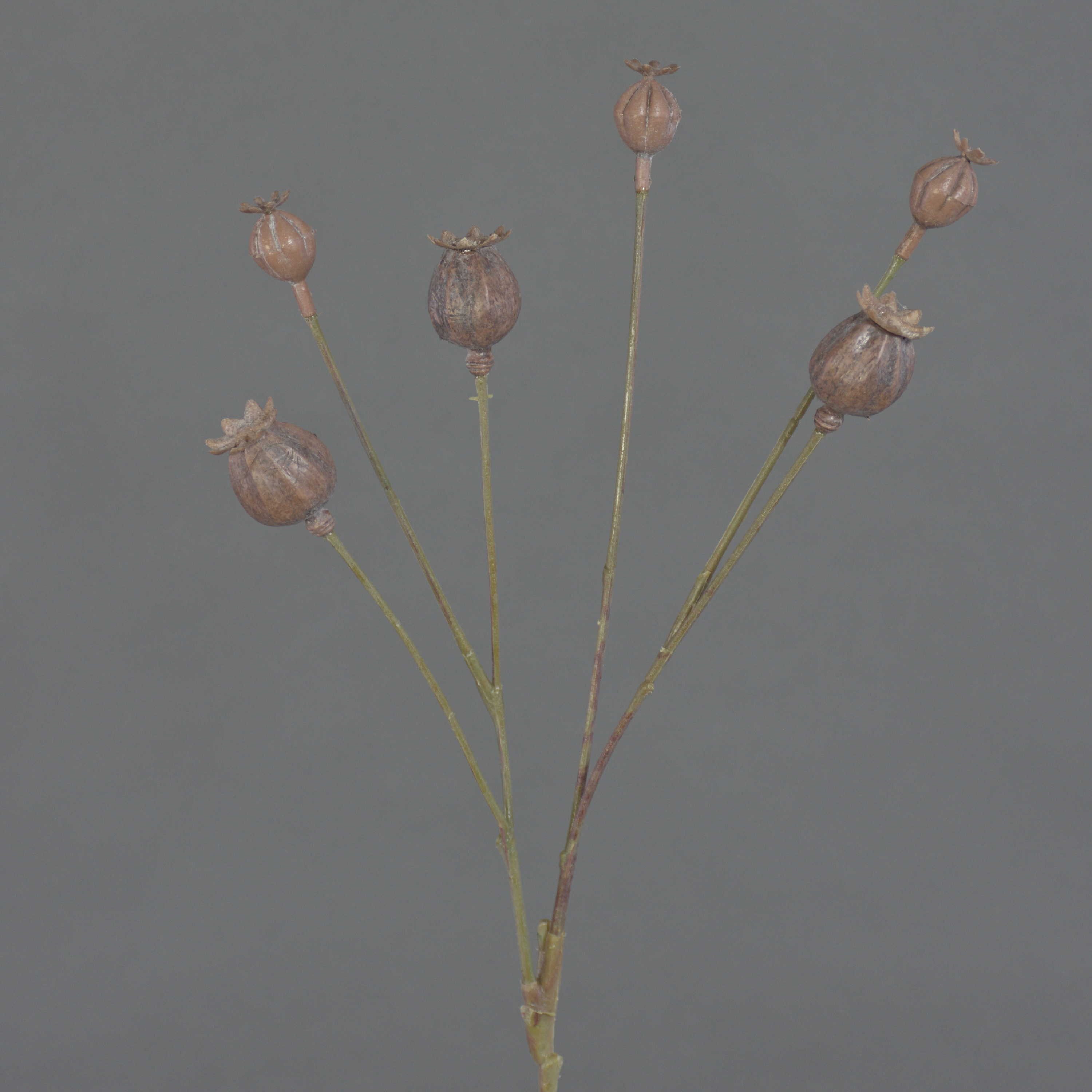 Kunstzweig Kunst Mohnkapseln ASUMAN, braun, 70cm Mohnblume, artplants