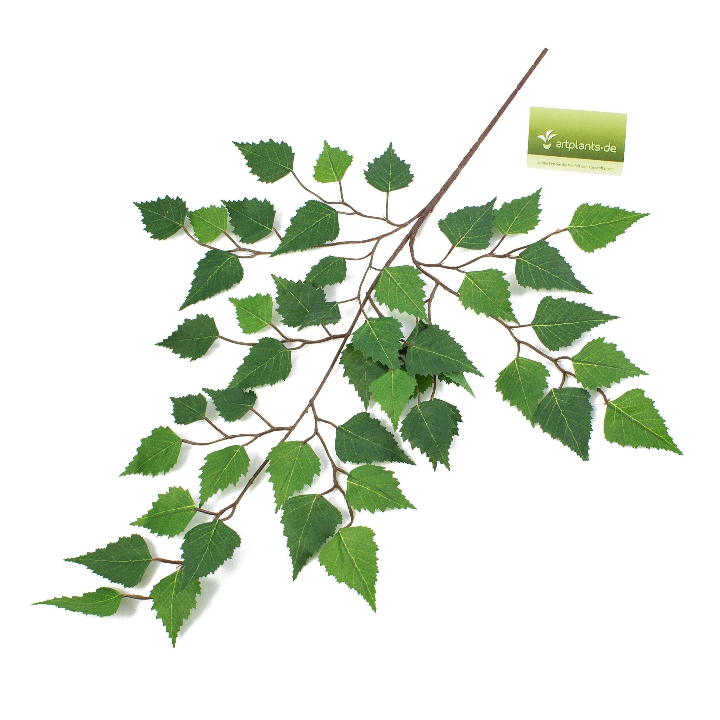 Kunstzweig Künstlicher Birkenzweig, 48 Blätter, 70cm Birke, artplants, Höhe 70.0 cm