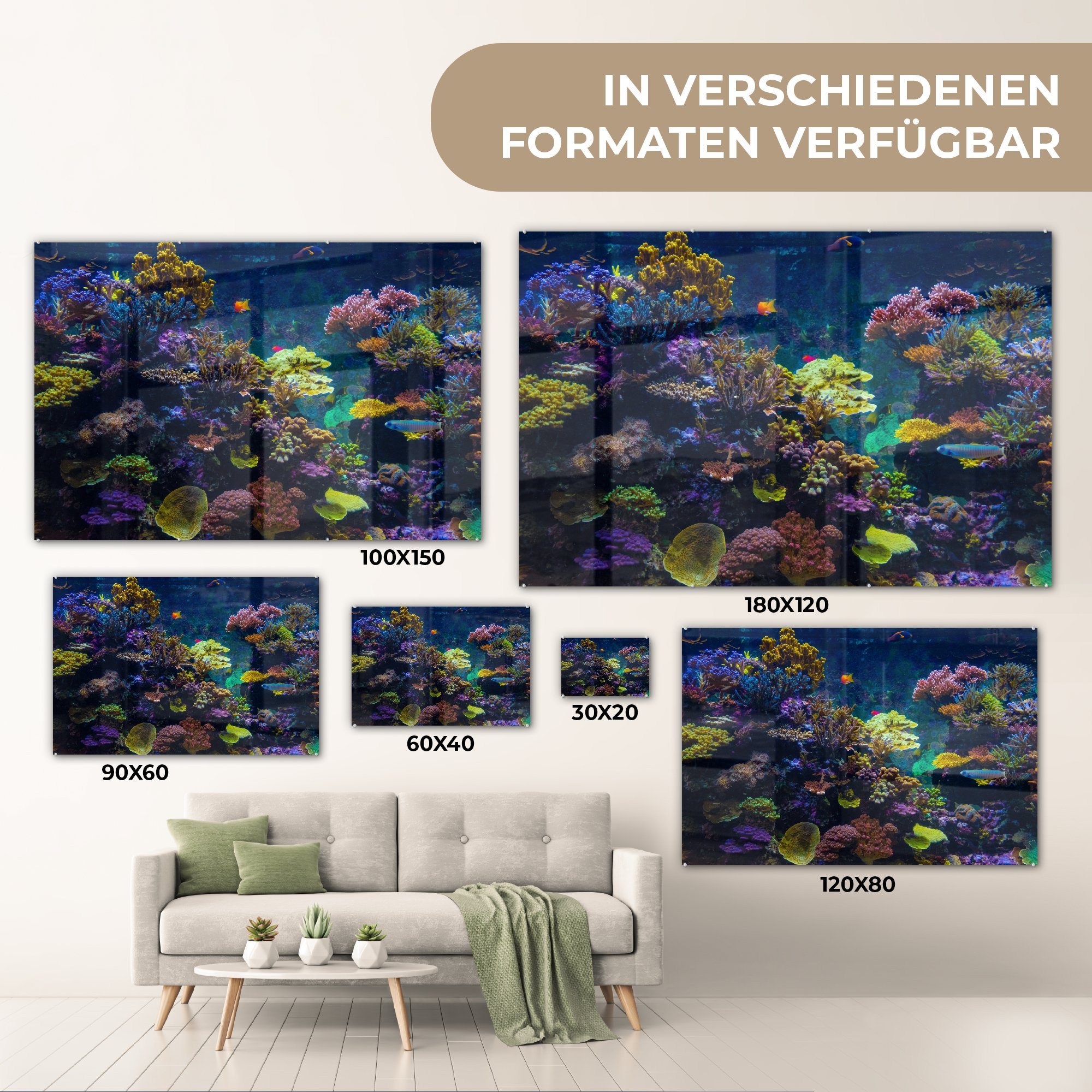 & Wohnzimmer Schlafzimmer St), (1 MuchoWow Fisch, Farben Acrylglasbild - Koralle - Acrylglasbilder