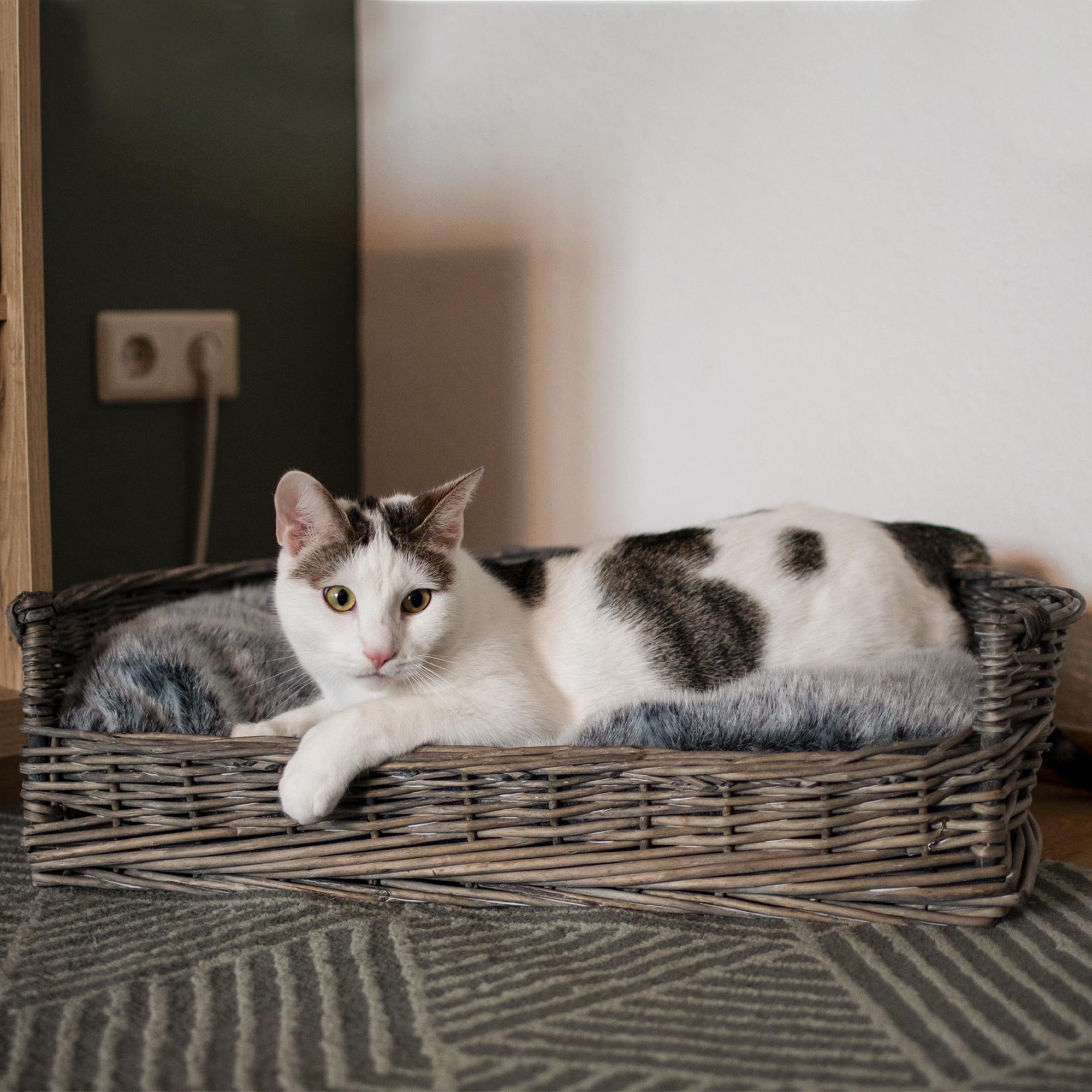 UNUS ANIMALS Tierkorb Haustierkorb mit Kissen – Bild 5 von 5