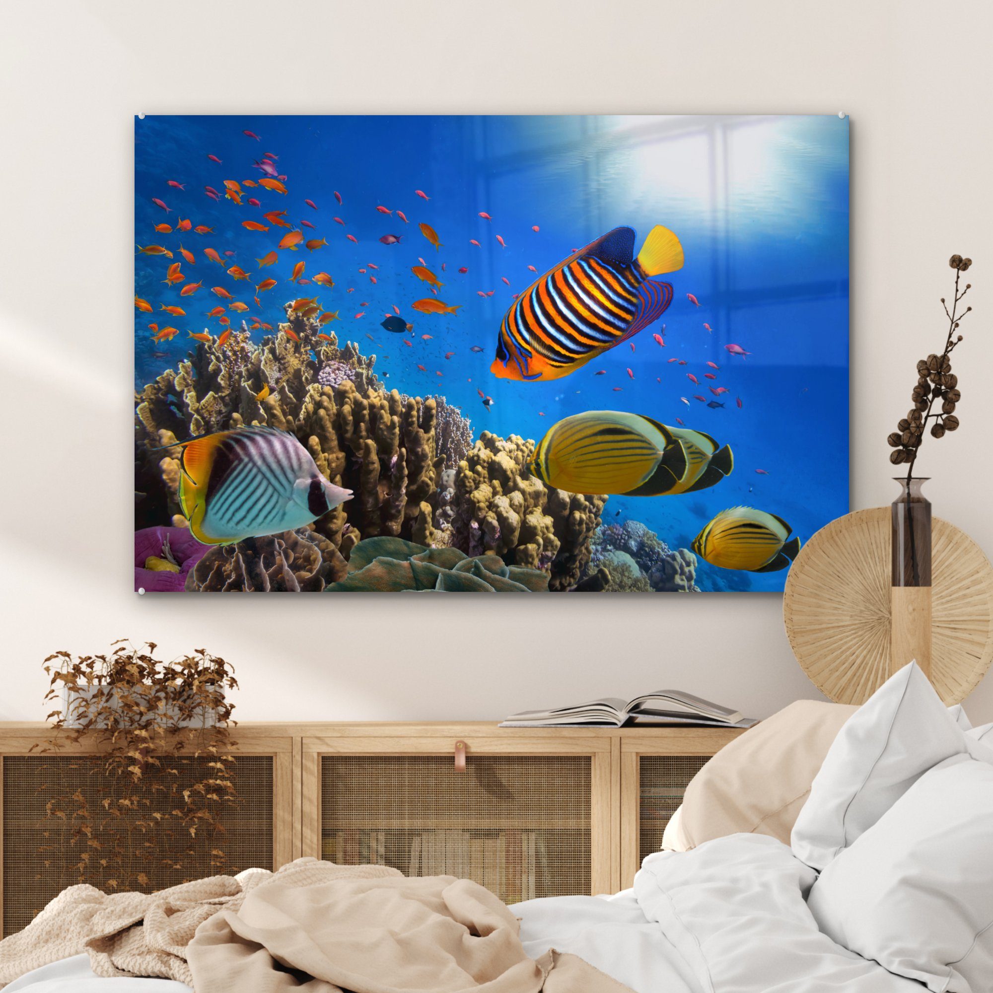 MuchoWow Ägypten, Tropisch - Wohnzimmer Fische Acrylglasbilder - (1 St), & Schlafzimmer Acrylglasbild