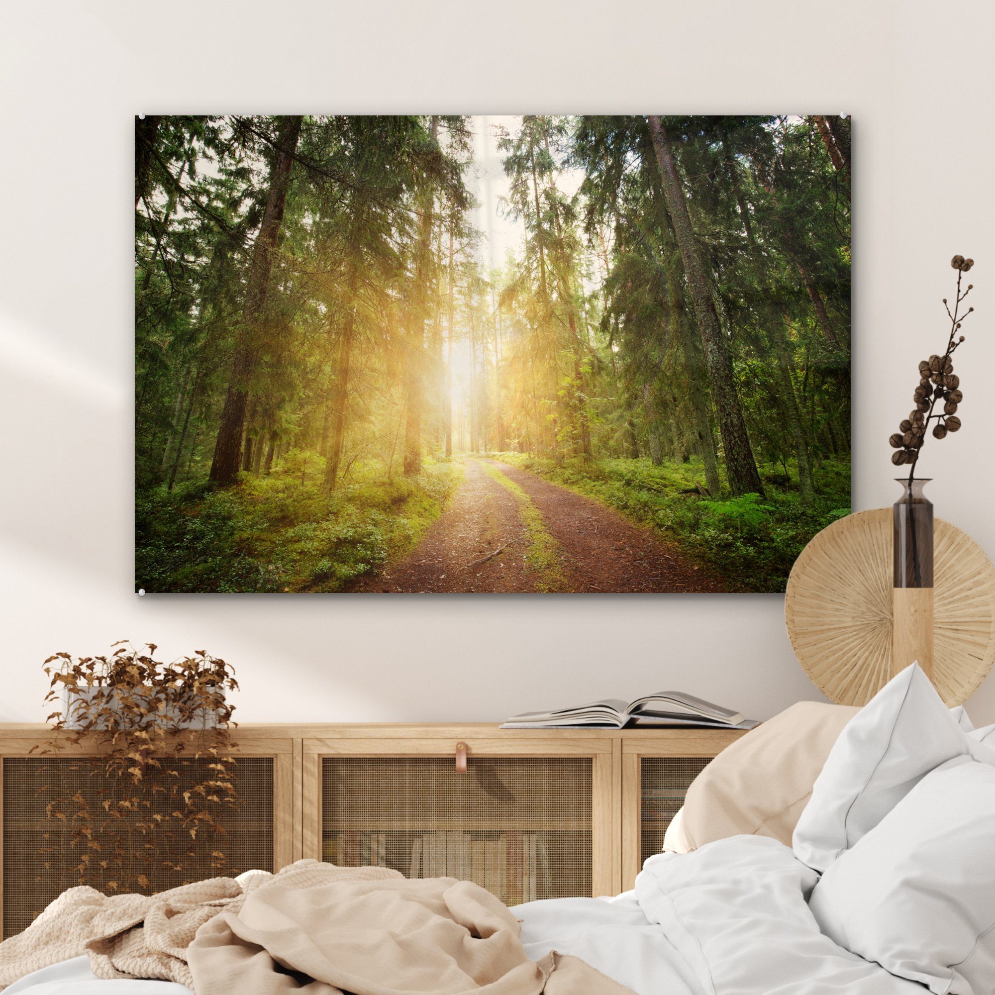 MuchoWow Acrylglasbild Wald - - Wohnzimmer St), (1 Sonne, Schlafzimmer & Acrylglasbilder Baum