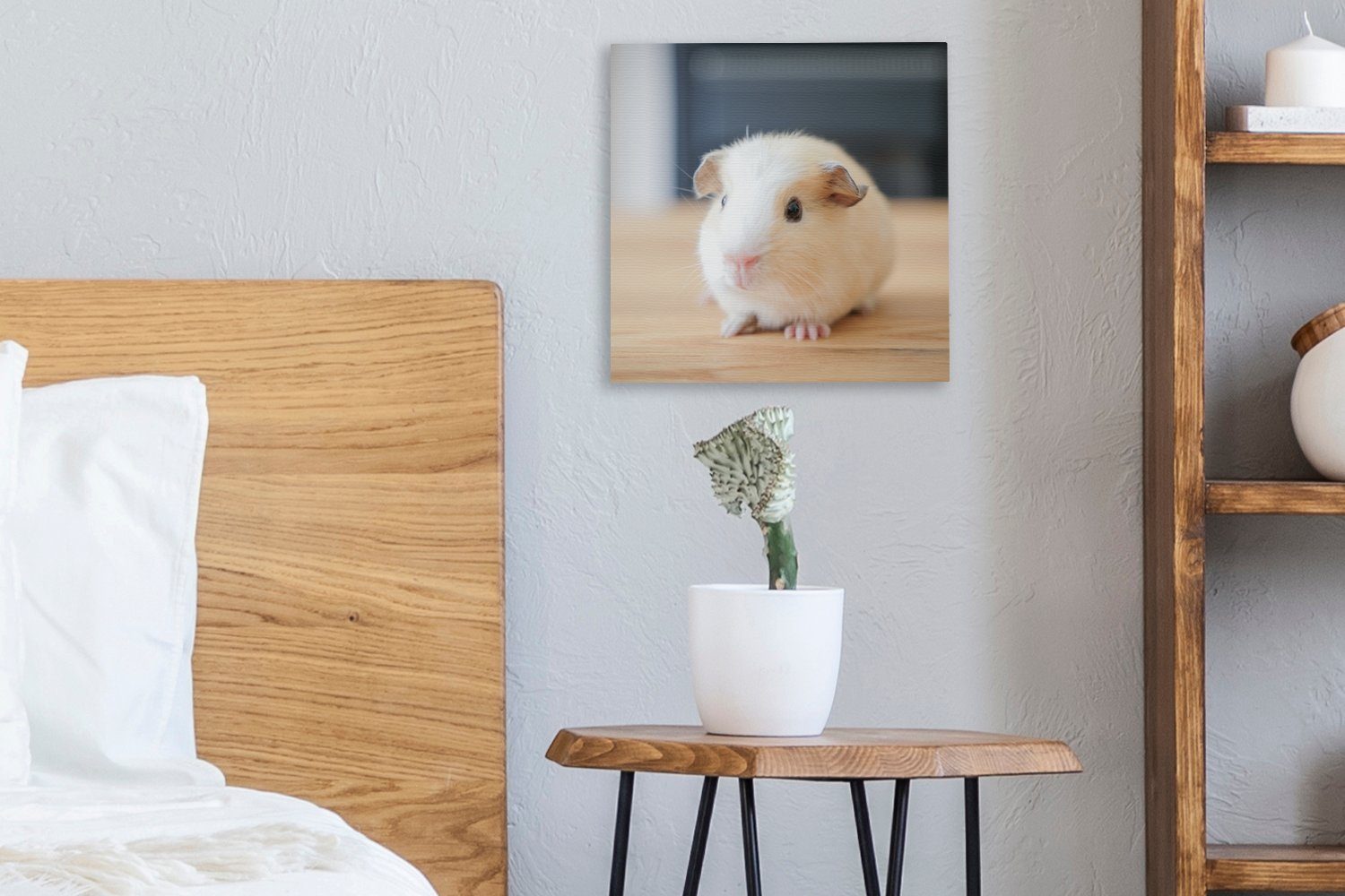 Baby-Meerschweinchen, OneMillionCanvasses® für Leinwandbild Leinwand St), Bilder Wohnzimmer (1 Schlafzimmer Niedliches
