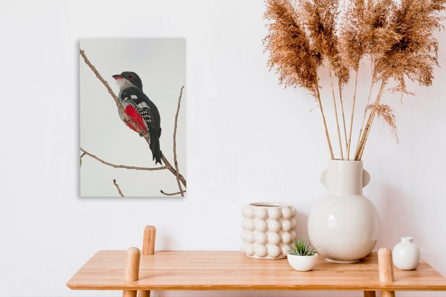 cm Ast, Gemälde, Ein Tocororo-Vogel OneMillionCanvasses® auf St), Leinwandbild fertig bespannt Zackenaufhänger, inkl. 20x30 (1 rot-schwarzer sitzt einem Leinwandbild