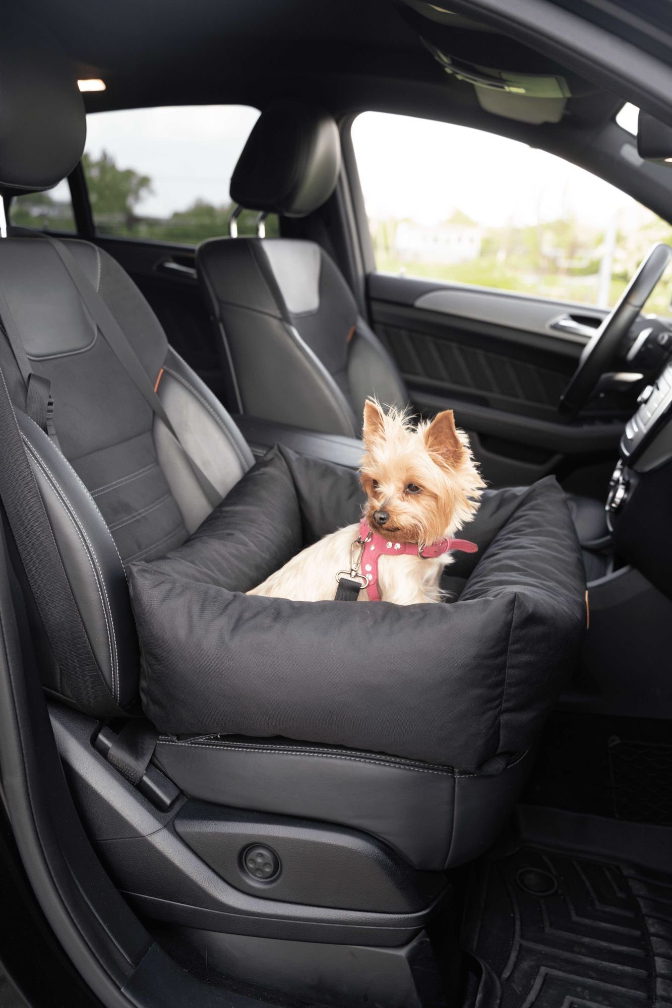 Animood Hunde-Autositz Hundeautositz Julian schwarz S Hundesitz Tierautositz 58x53x20 cm, Kodura, wasserfestes Material