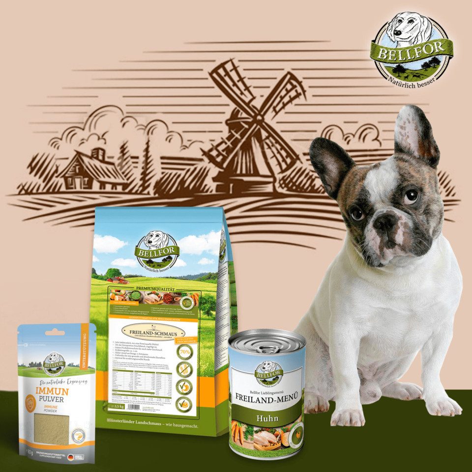Bellfor Bellfor Französische Bulldogge Futter Set, für: Hunde