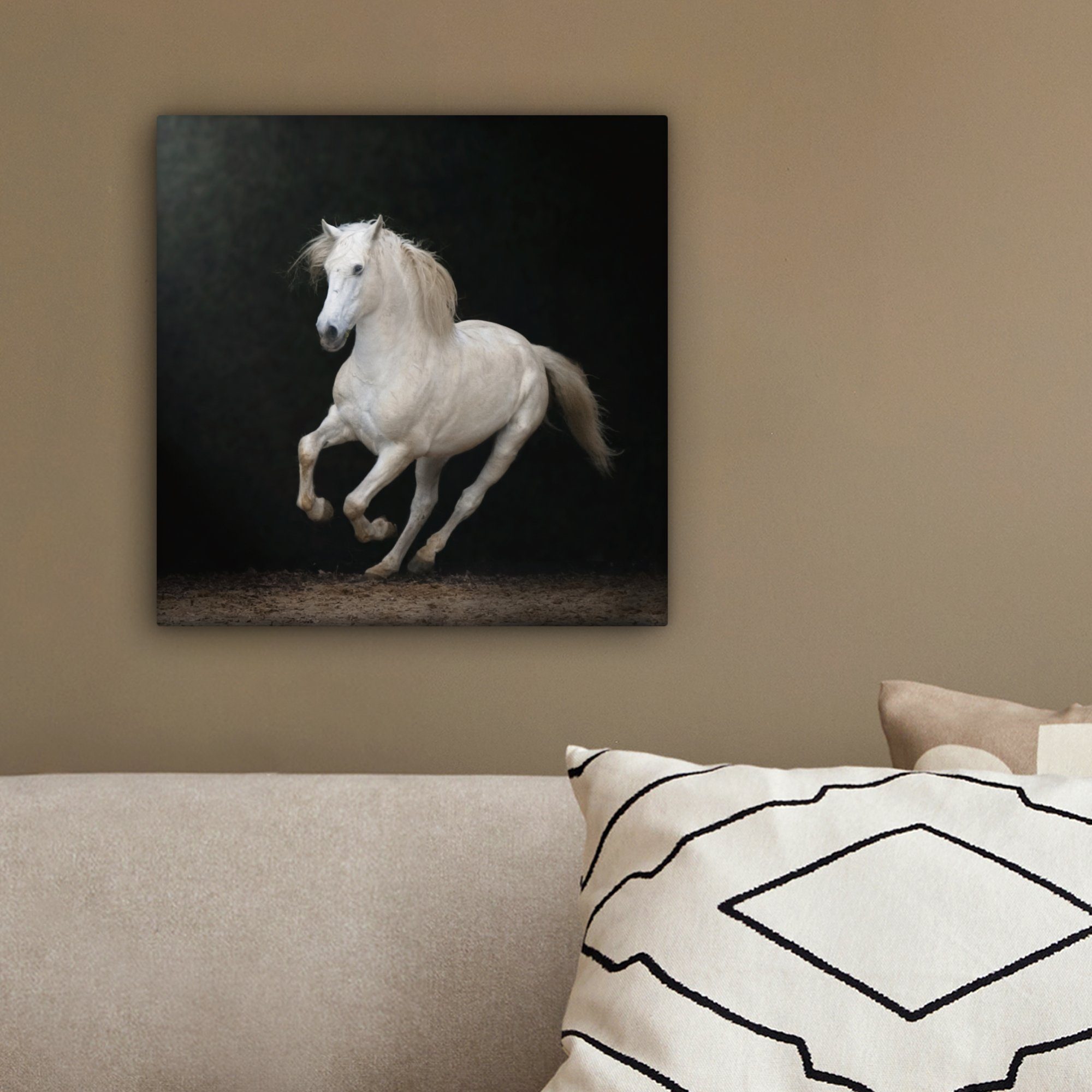 Bilder St), Pferde cm für Schlafzimmer, 20x20 OneMillionCanvasses® Leinwandbild Wohnzimmer Leinwand (1 - Schwarz - Porträt,