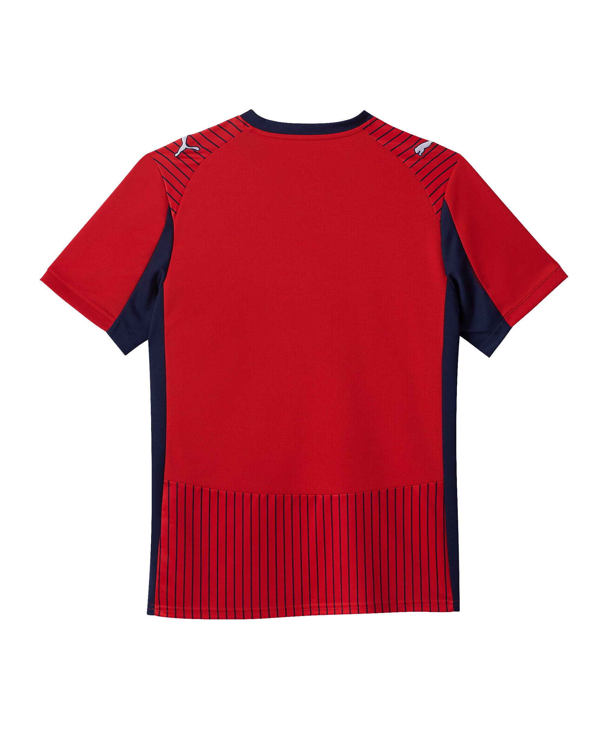 PUMA Fußballtrikot PUMA SK Rapid Wien Trikot Auswärts 2025/2026 Teamsport