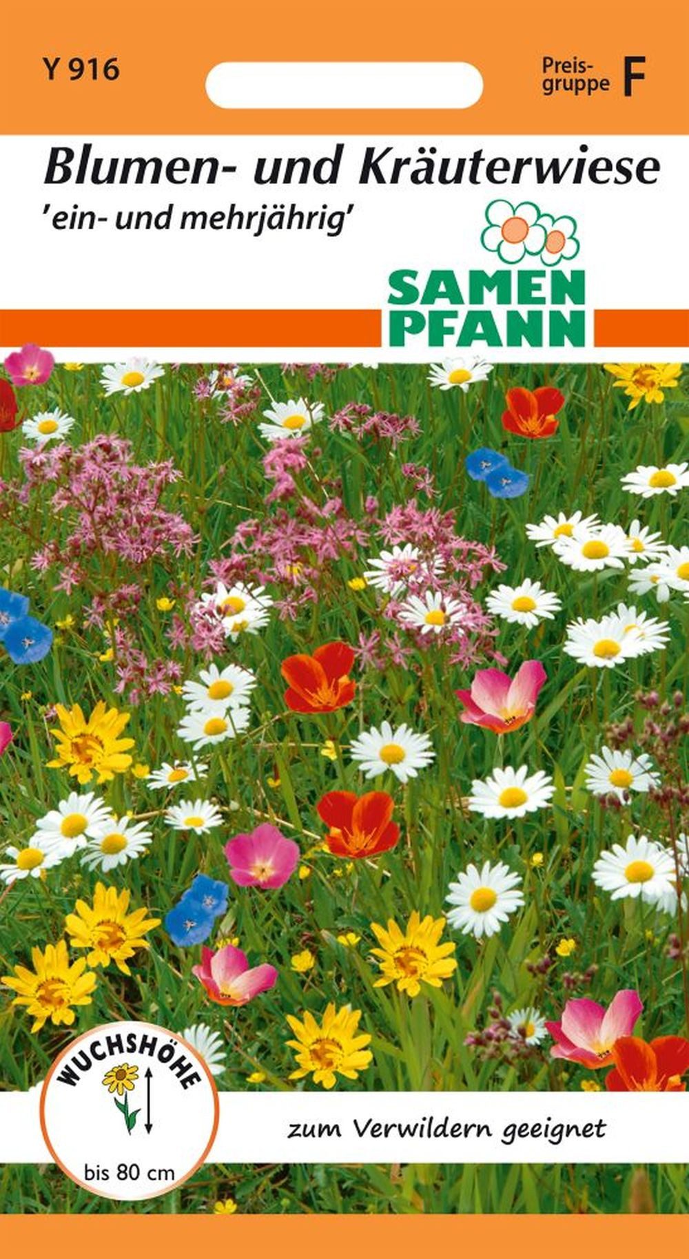 SAMEN PFANN Blumensamen Blumen- und Kräuterwiese - Blumenmischung Saatgut S günstig online kaufen
