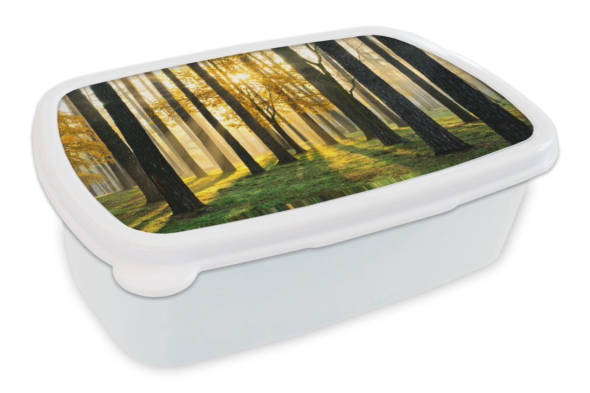 Natur, Erwachsene, Bäume Brotbox - für weiß MuchoWow Kunststoff, Landschaft (2-tlg), - Brotdose, Jungs Wald Sonne Lunchbox und - Mädchen Kinder - für Gras und -