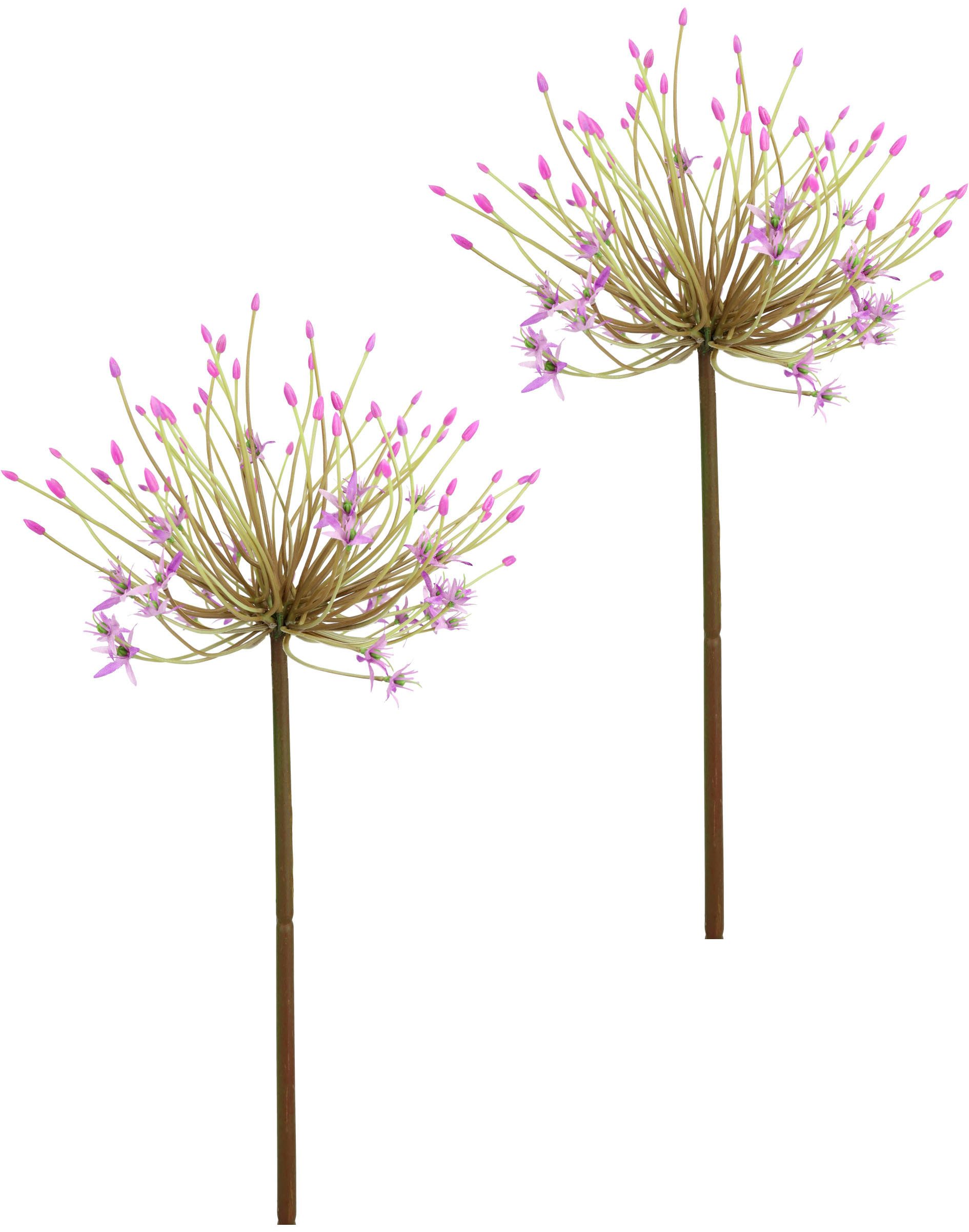 Kunstblume Allium Zierlauch, I.GE.A., Höhe 62 cm, Stielblume künstliche Blumen, 2er Set