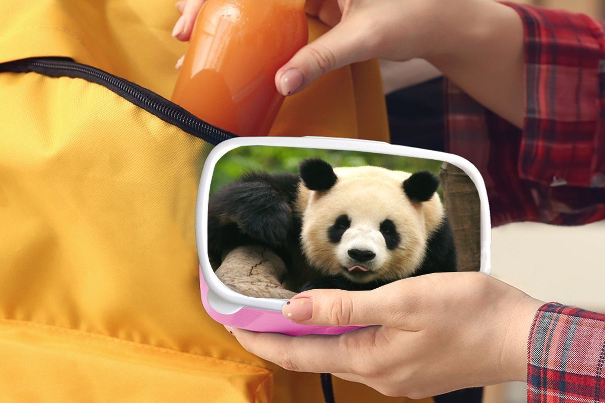 MuchoWow Lunchbox Tiere Brotdose Brotbox Erwachsene, rosa Kinder, Mädchen, Kunststoff (2-tlg), Kunststoff, Panda - - für Snackbox, Bäume