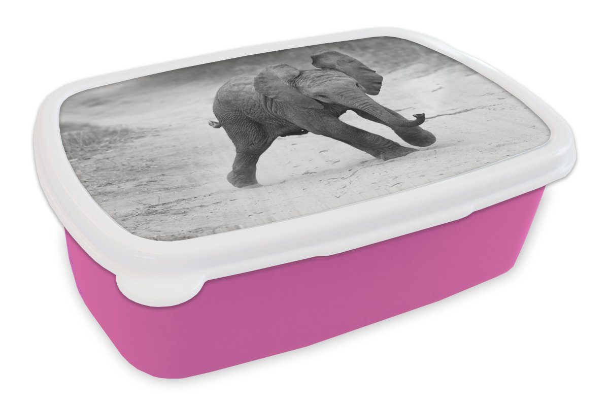 Mädchen, Schwarz Snackbox, Brotbox für Erwachsene, Elefant MuchoWow Lunchbox - (2-tlg), weiß, rosa Tiere und Kröte - Kinder, - - Baby Kunststoff Brotdose Kunststoff,