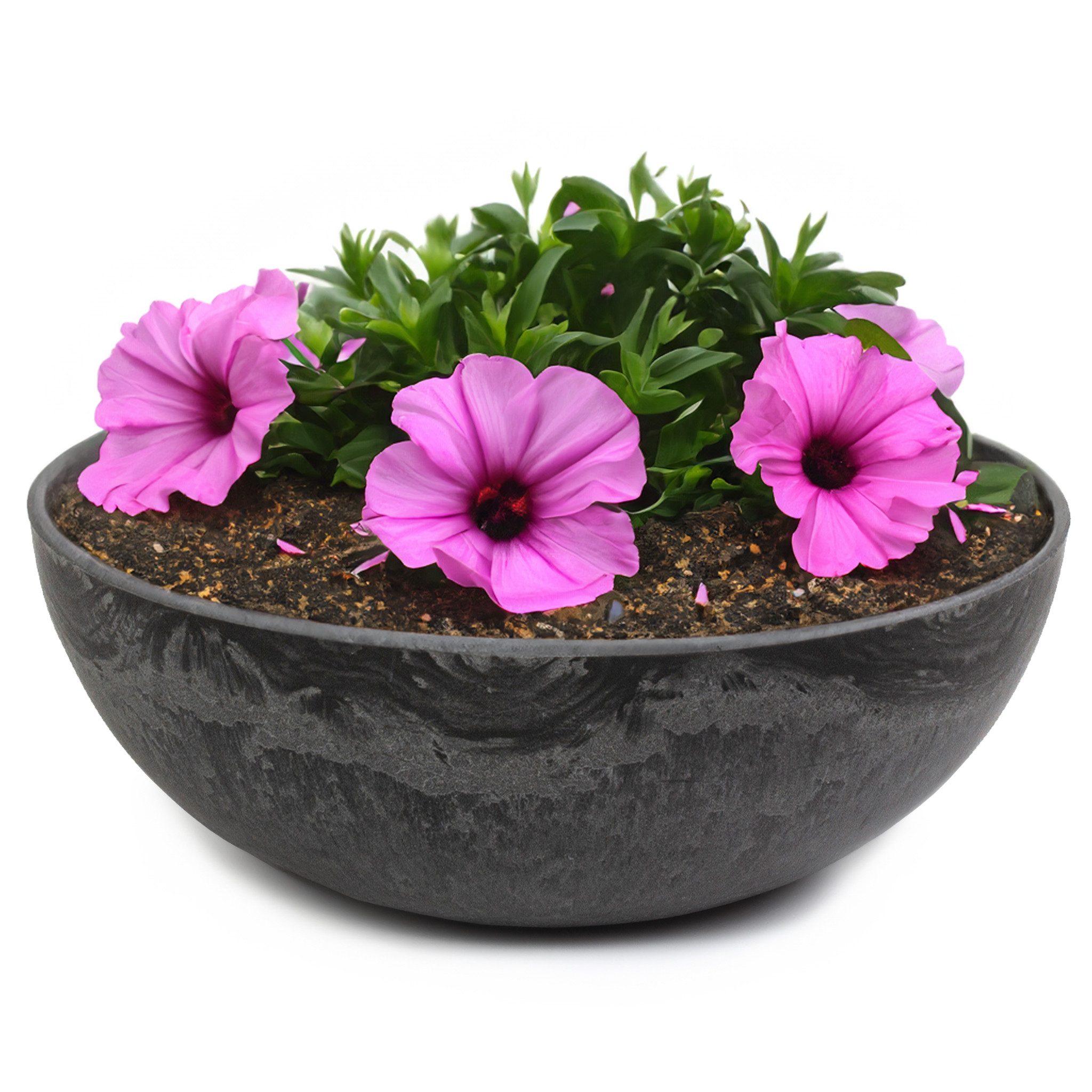 matches21 HOME & HOBBY Blumentopf Runde bauchige 20 cm Pflanzschale für dra günstig online kaufen