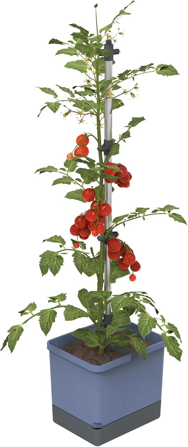 Pflanzkübel TOM TOMATO
