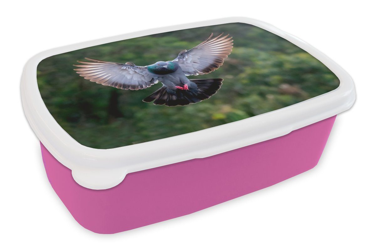 MuchoWow Lunchbox Eine fliegende Taube zwischen den grünen Bäumen, Kunststoff, (2-tlg), Brotbox für Erwachsene, Brotdose Kinder, Snackbox, Mädchen, Kunststoff rosa