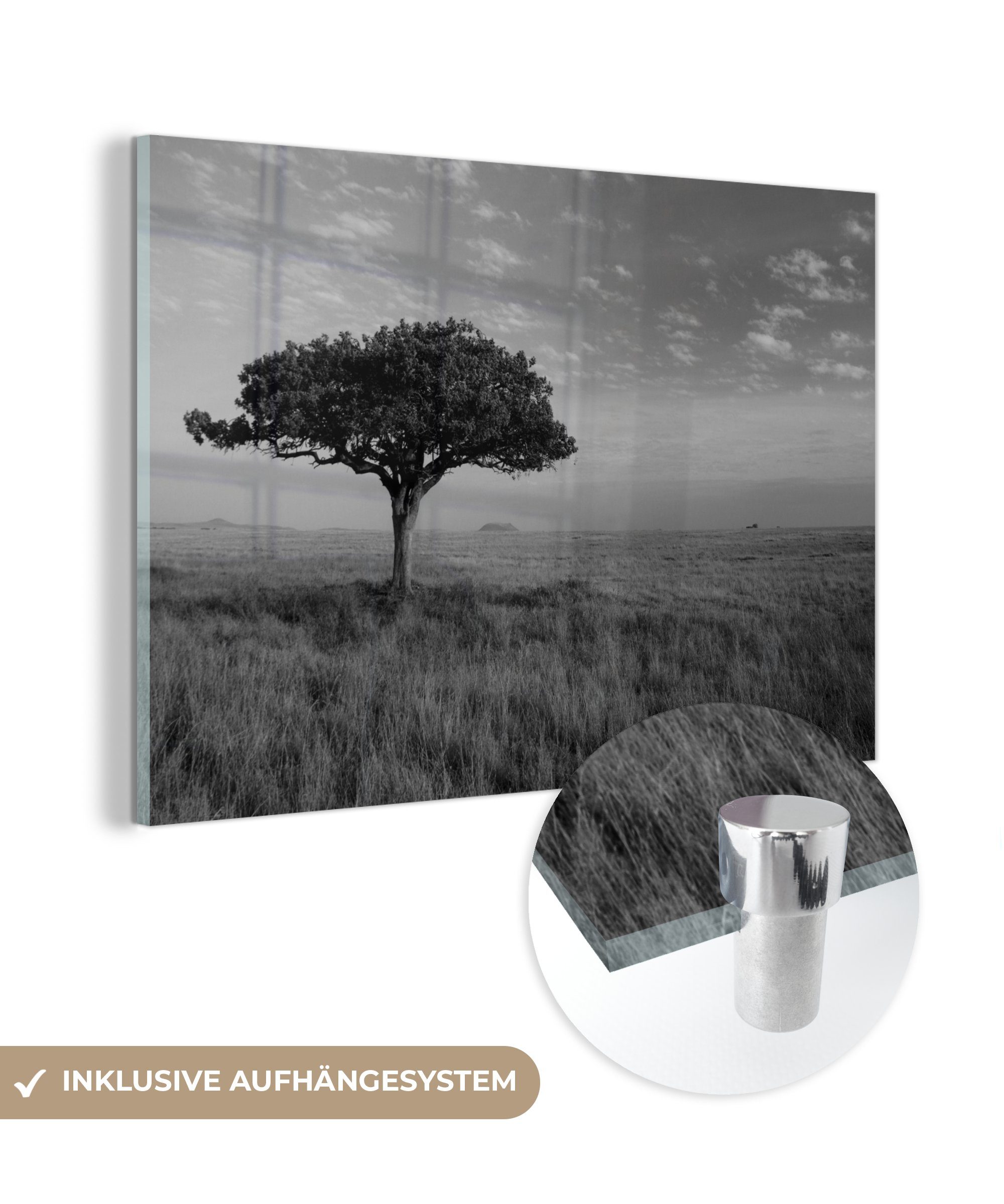 MuchoWow Acrylglasbild Stehender Akazienbaum in der Ebene - schwarz und weiß, (1 St), Acrylglasbilder Wohnzimmer & Schlafzimmer