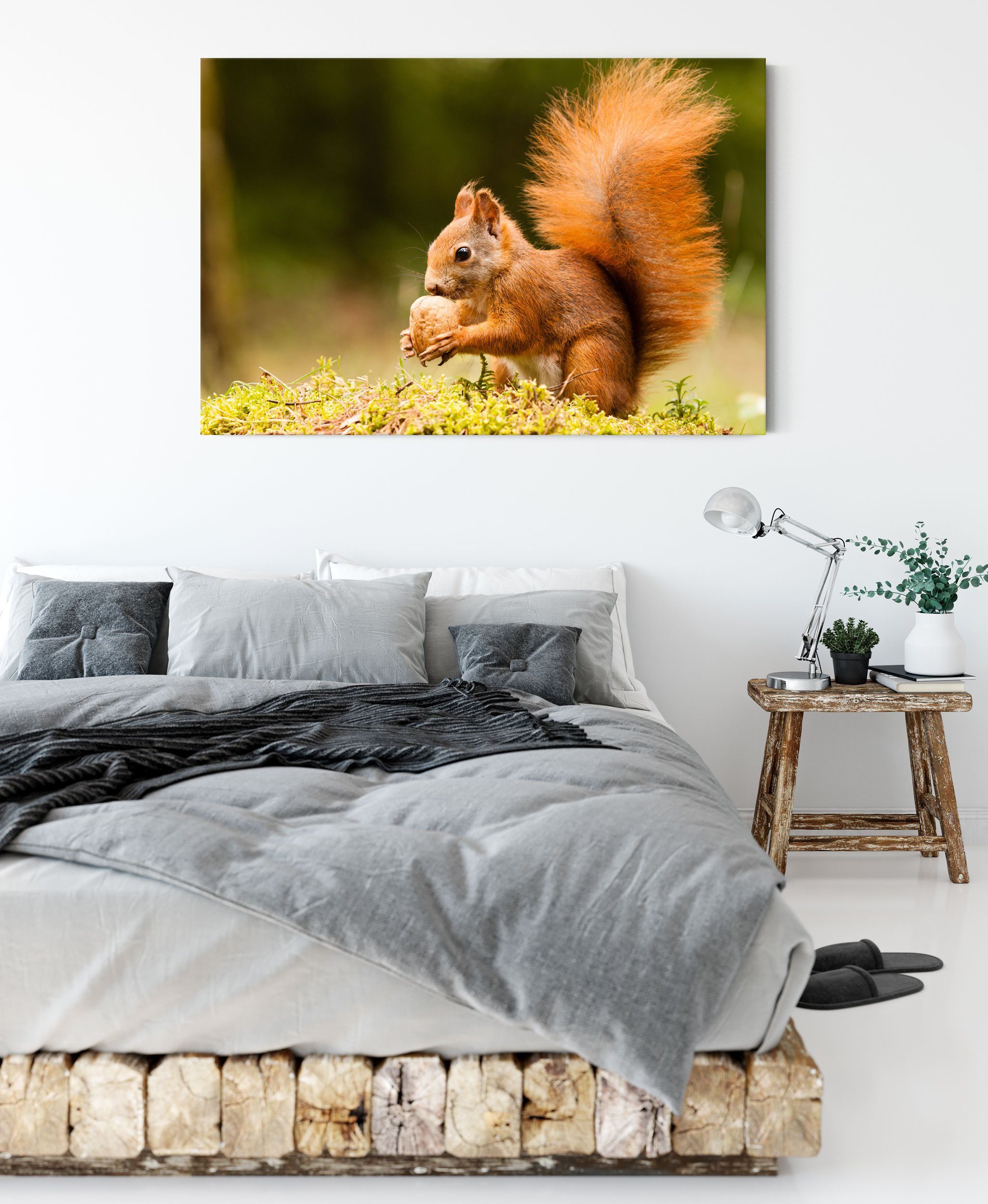 Zackenaufhänger bespannt, Leinwandbild fertig Leinwandbild inkl. (1 St), mit Nuss, Eichhörnchen Pixxprint Nuss Eichhörnchen mit