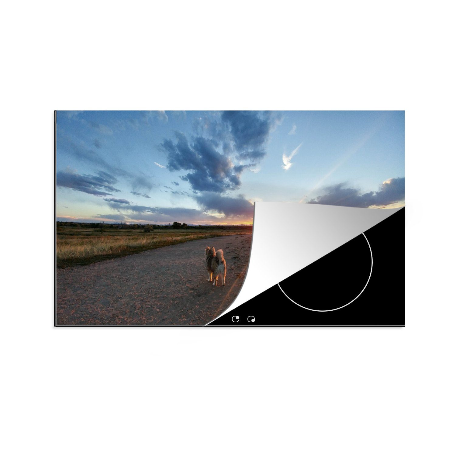 MuchoWow Herdblende-/Abdeckplatte Pomsky unter der aufgehenden Sonne, Vinyl, (1 tlg), 83x51 cm, Ceranfeldabdeckung, Arbeitsplatte für küche | Herdabdeckplatten